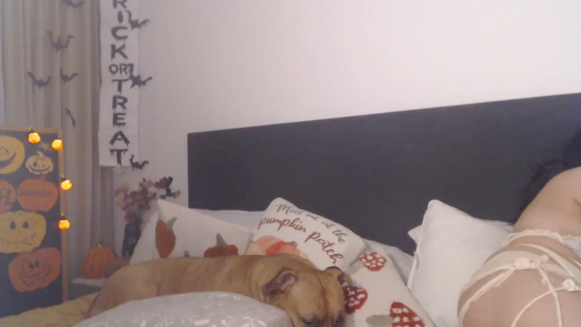 Gallery image thumbnail from ASweetJessie's myfreecams stream on, 10/31/2025, 15:14 image 17 of 20
