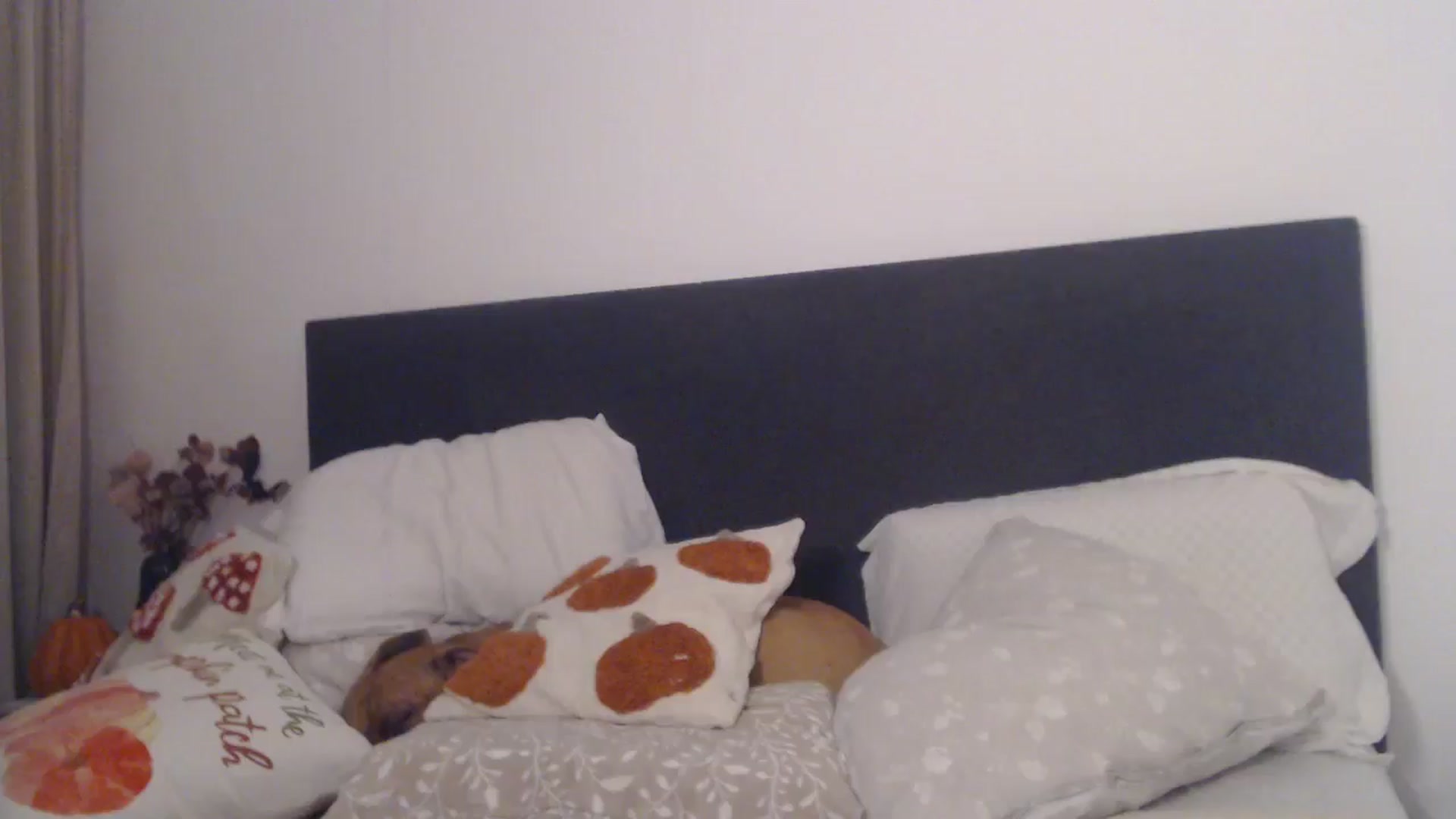 Gallery image thumbnail from ASweetJessie's myfreecams stream on, 11/06/2025, 14:53 image 17 of 20