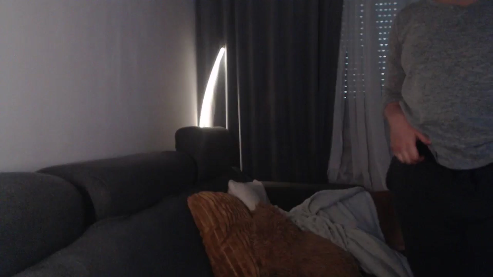 Gallery image thumbnail from ASweetJessie's myfreecams stream on, 11/10/2025, 13:26 image 18 of 20