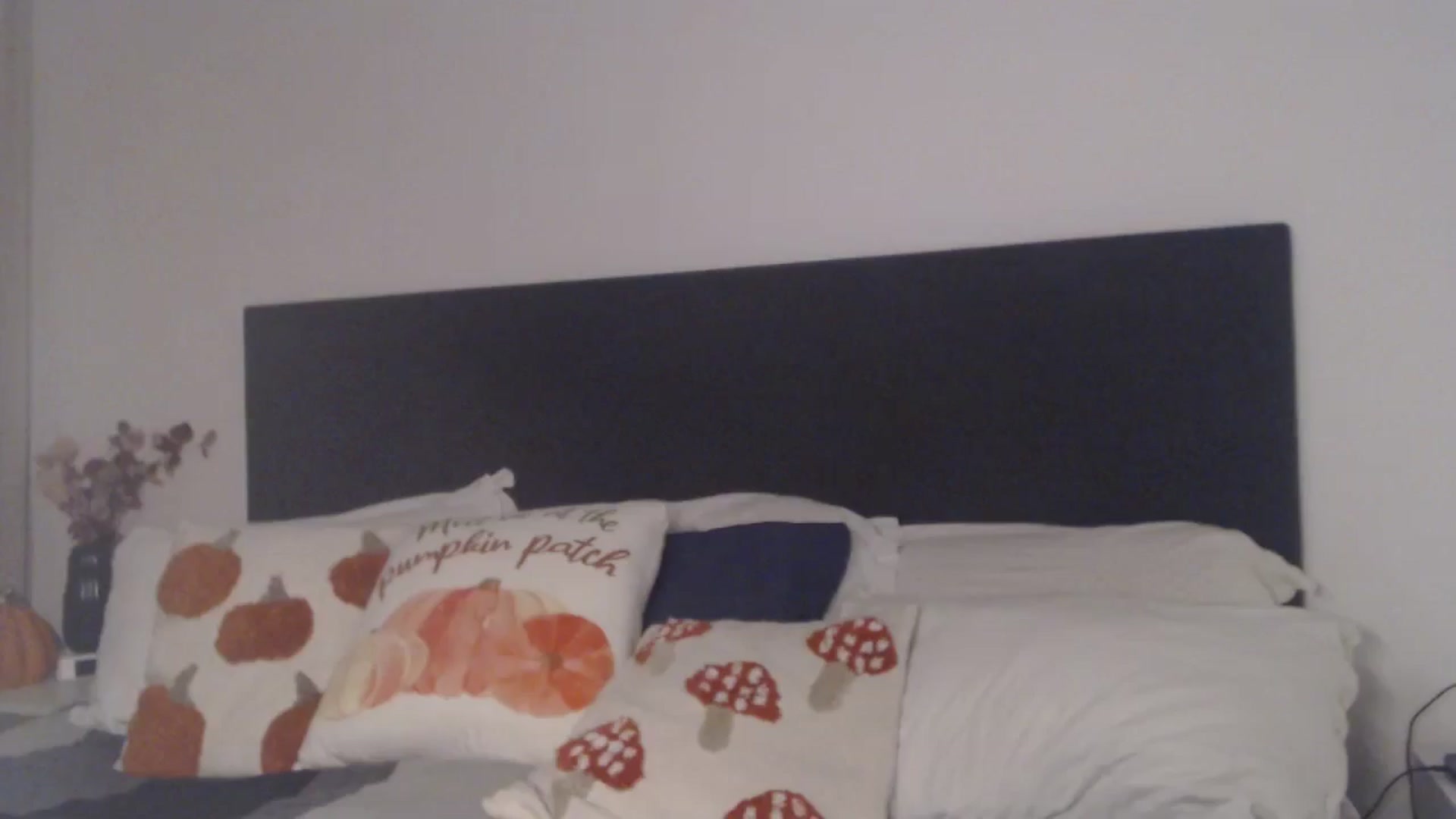 Gallery image thumbnail from ASweetJessie's myfreecams stream on, 11/19/2025, 17:03 image 19 of 20