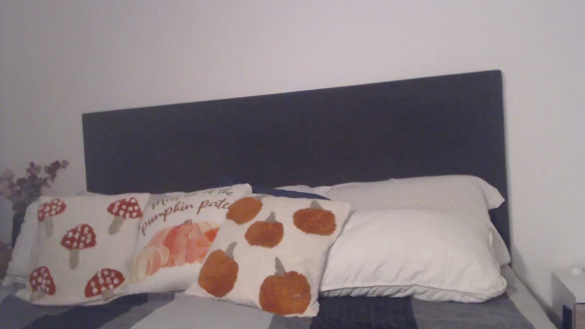 Gallery image thumbnail from ASweetJessie's myfreecams stream on, 11/24/2025, 14:15 image 4 of 20