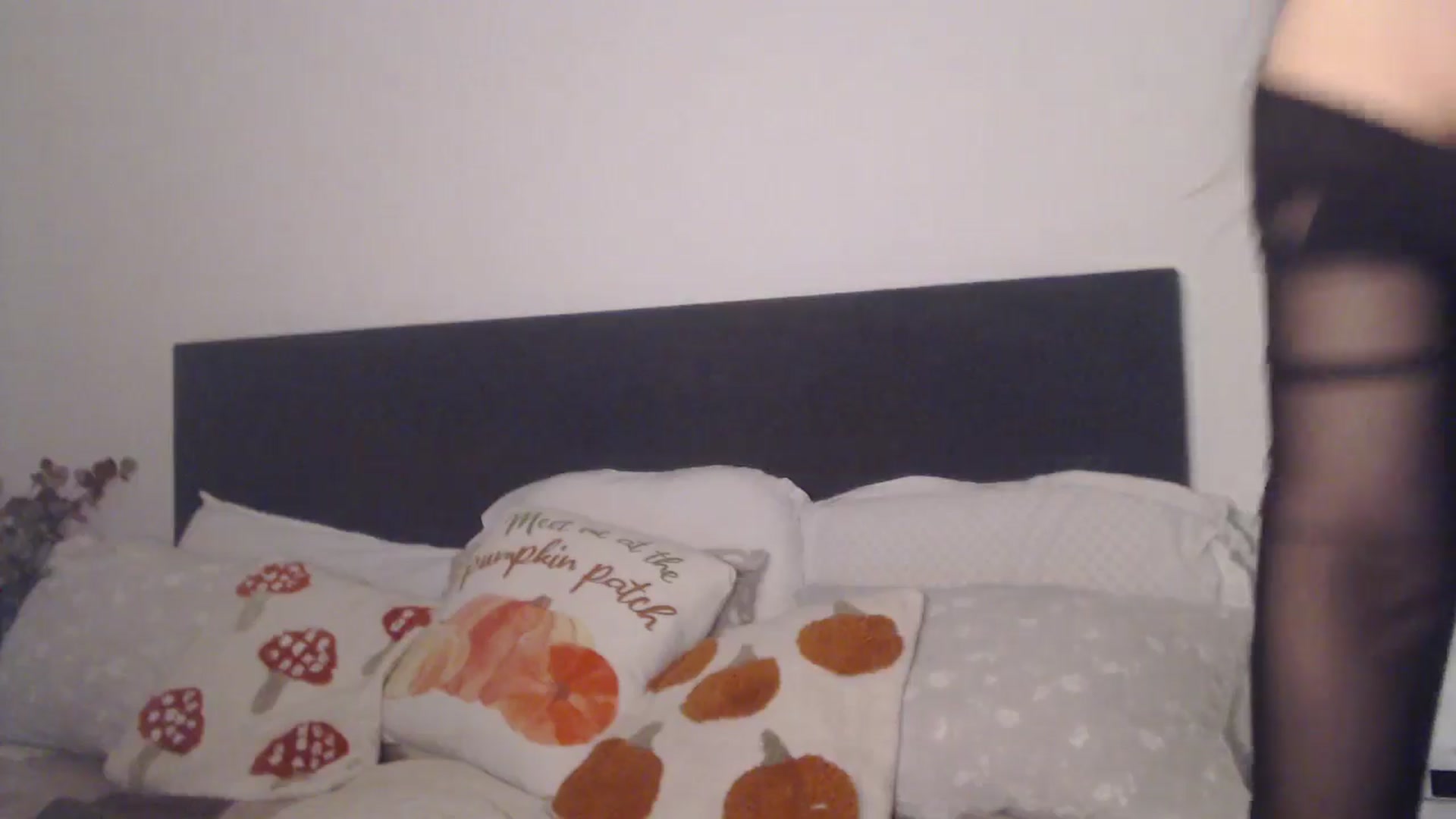 Gallery image thumbnail from ASweetJessie's myfreecams stream on, 11/29/2025, 14:43 image 13 of 20