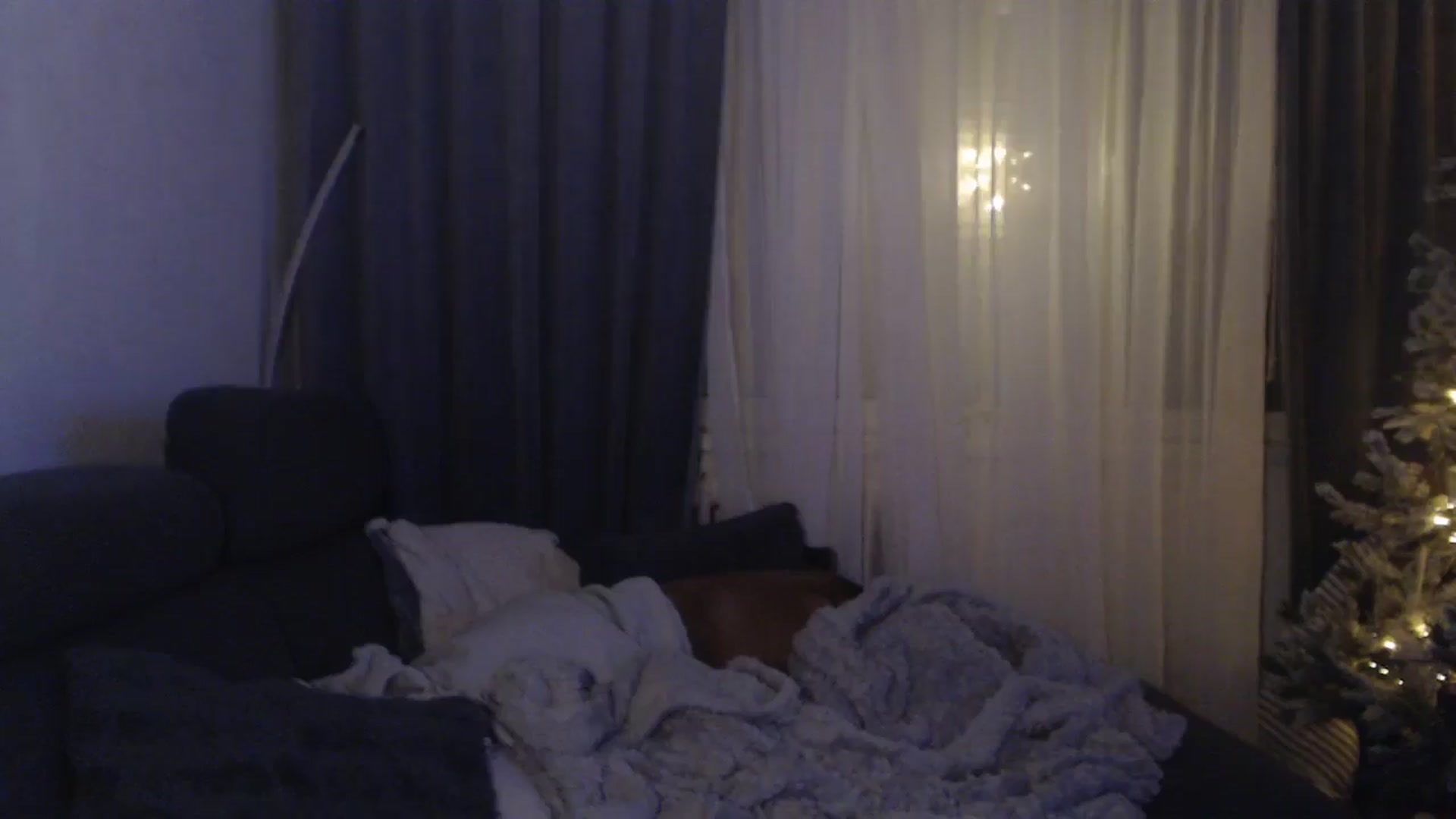 Gallery image thumbnail from ASweetJessie's myfreecams stream on, 01/11/2026, 16:20 image 8 of 20