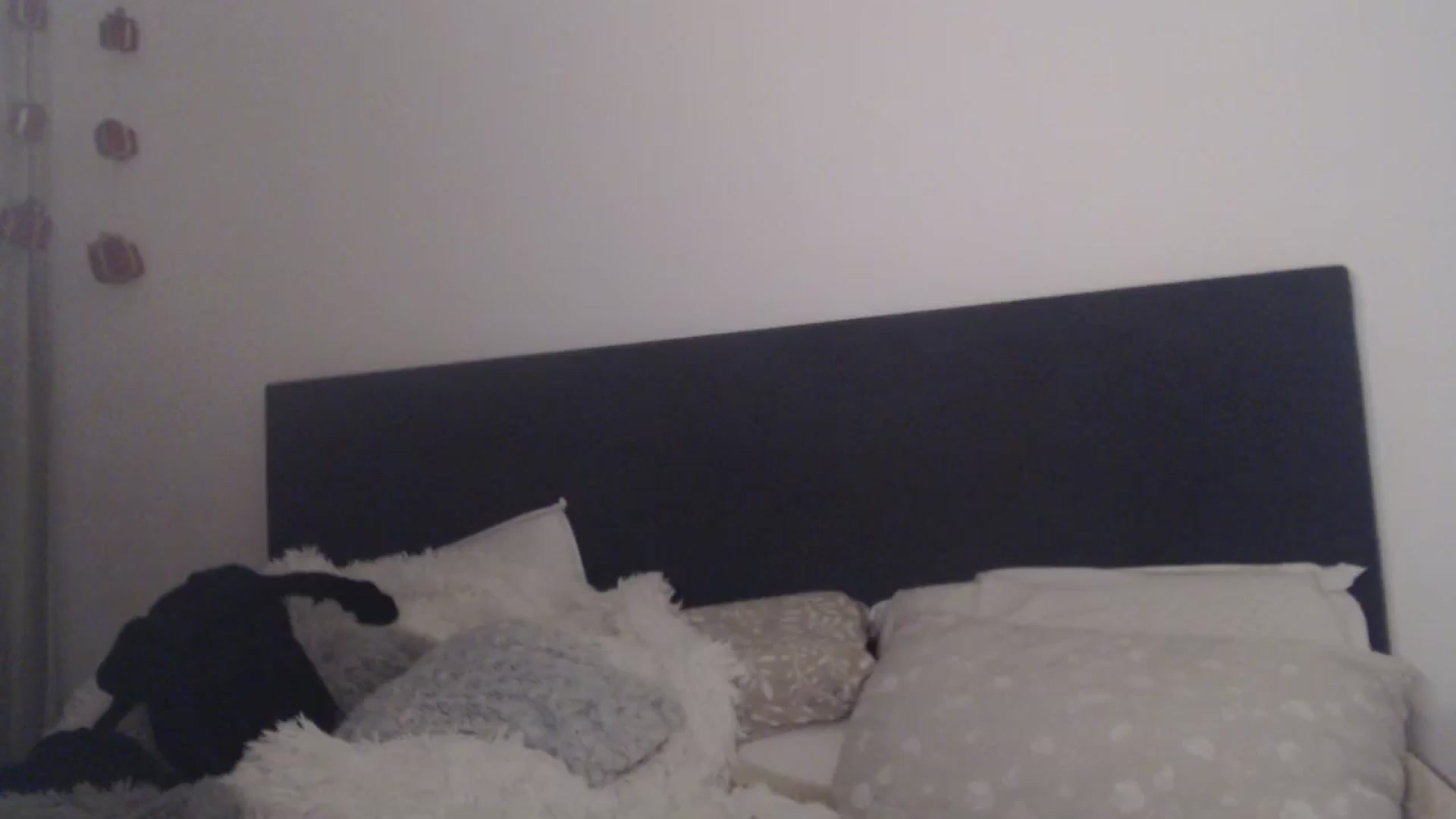 Gallery image thumbnail from ASweetJessie's myfreecams stream on, 01/14/2026, 20:43 image 10 of 20