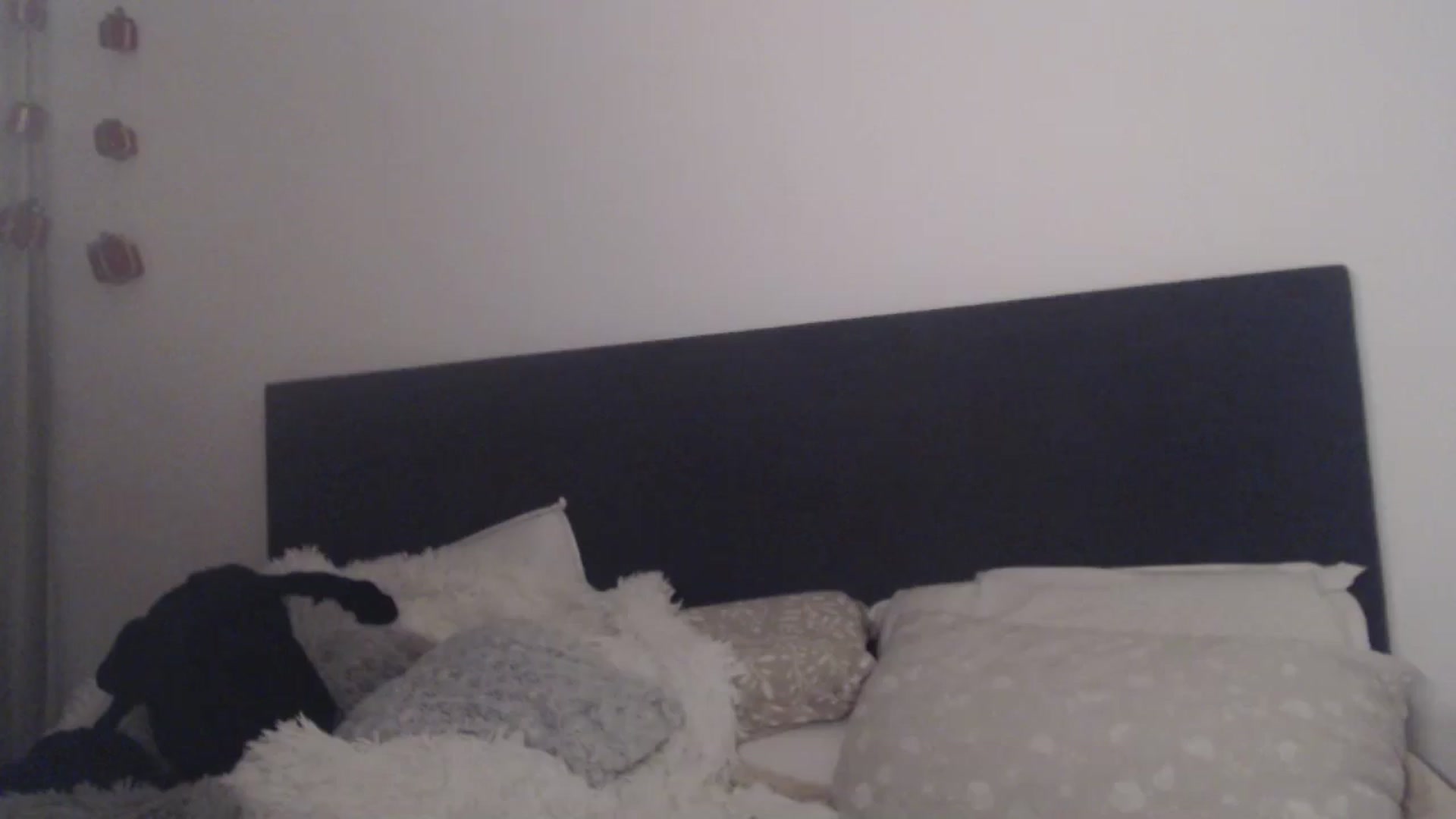 Gallery image thumbnail from ASweetJessie's myfreecams stream on, 01/14/2026, 20:43 image 9 of 20