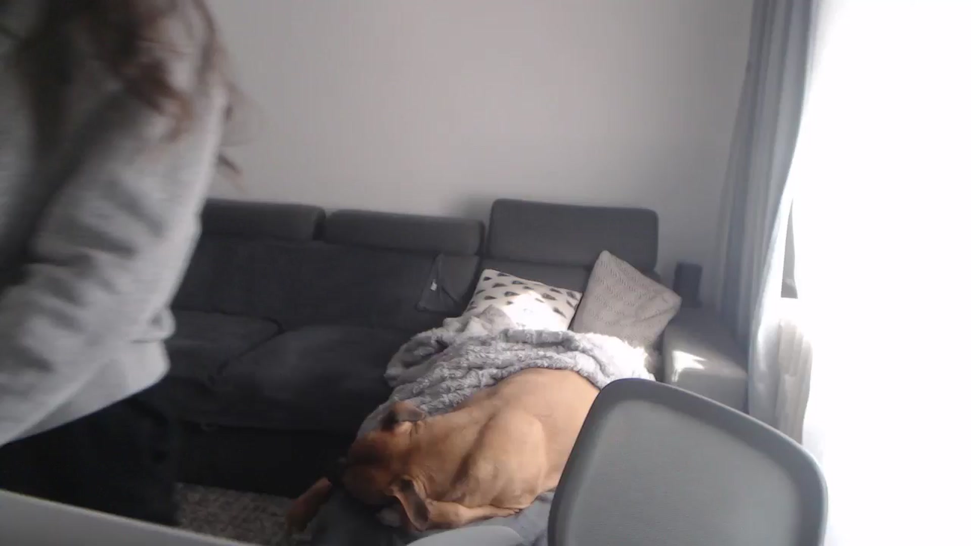 Gallery image thumbnail from ASweetJessie's myfreecams stream on, 02/04/2026, 12:07 image 12 of 20