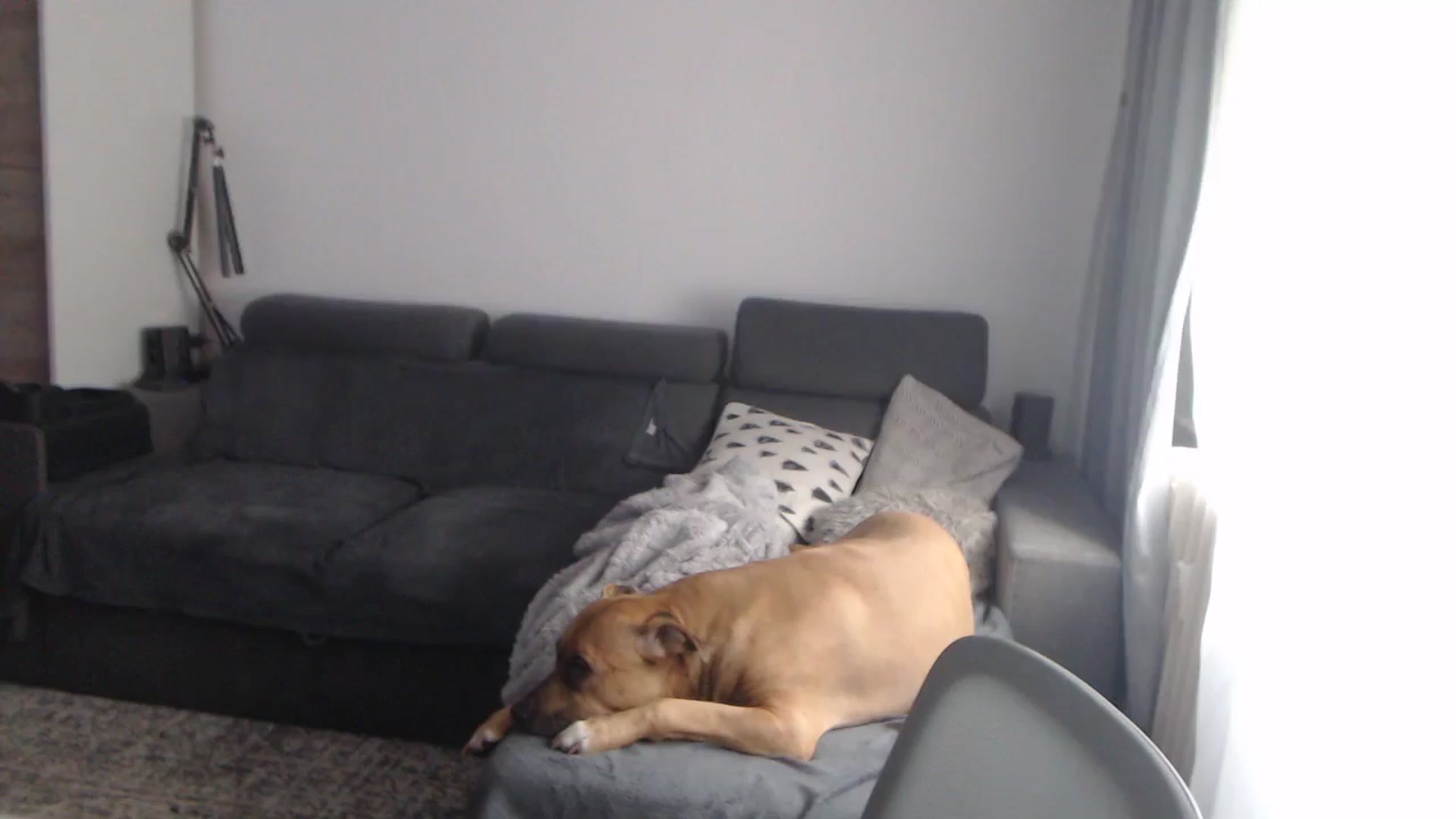 Gallery image thumbnail from ASweetJessie's myfreecams stream on, 02/04/2026, 14:12 image 10 of 20