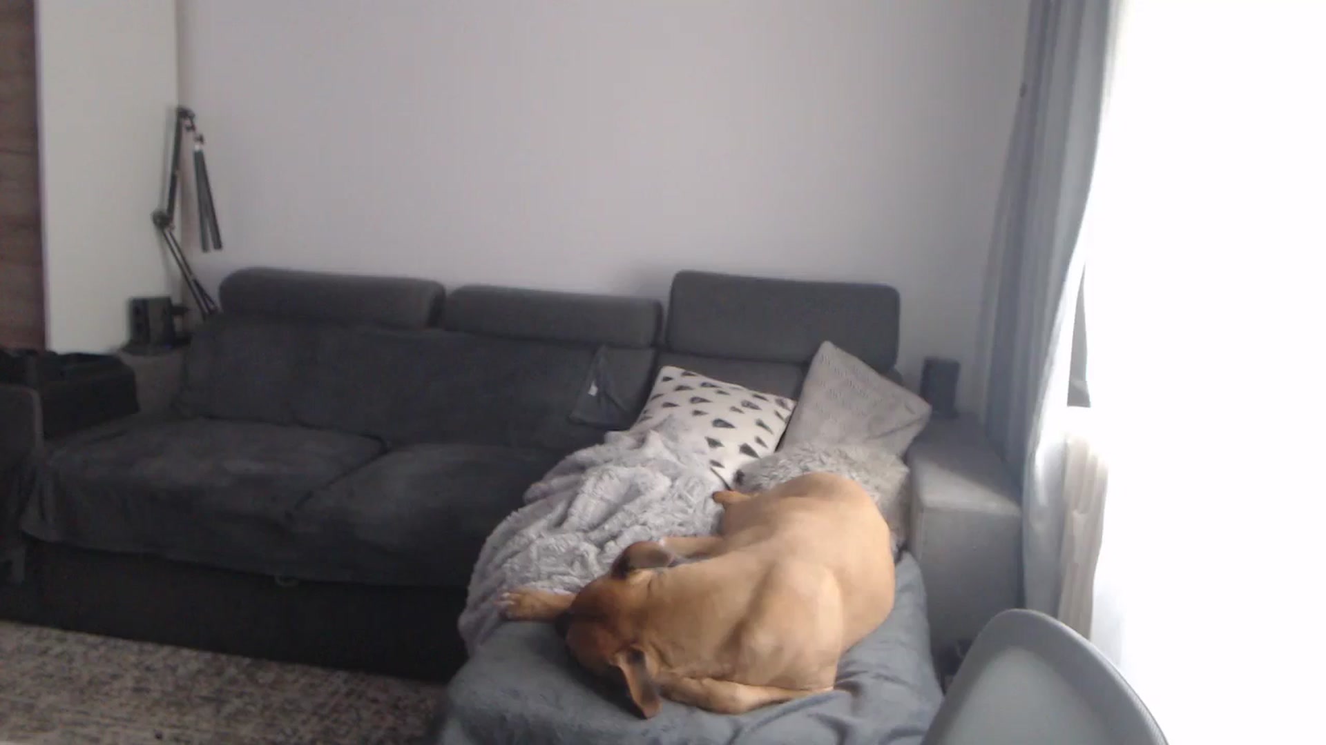 Gallery image thumbnail from ASweetJessie's myfreecams stream on, 02/04/2026, 14:12 image 5 of 20
