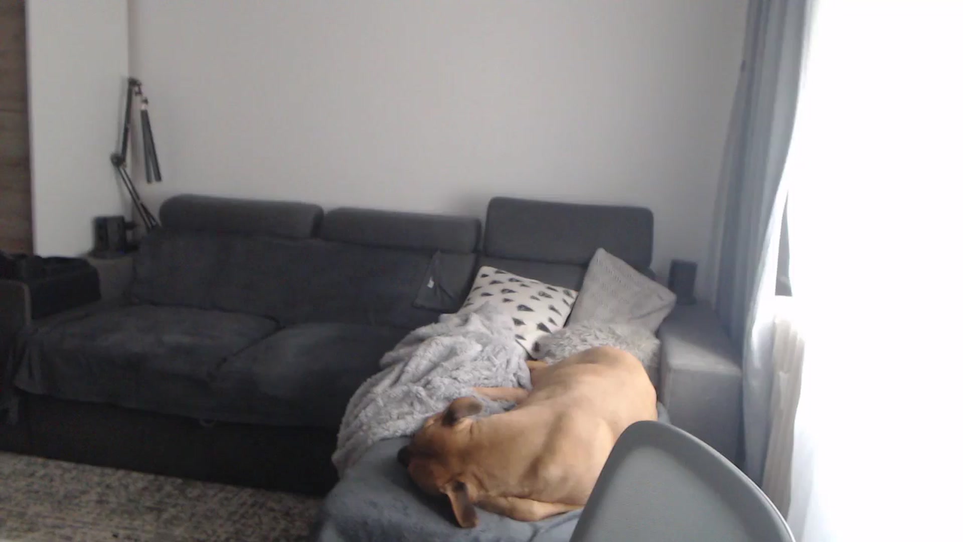 Gallery image thumbnail from ASweetJessie's myfreecams stream on, 02/04/2026, 14:12 image 9 of 20