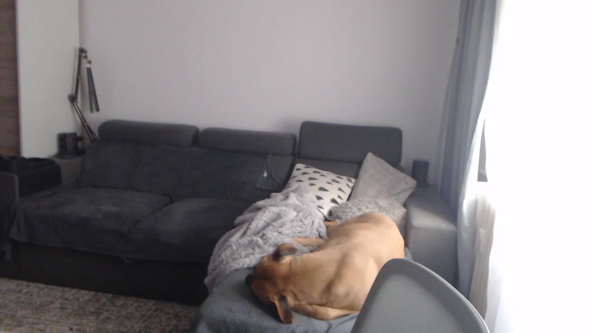 Gallery image thumbnail from ASweetJessie's myfreecams stream on, 02/04/2026, 14:12 image 8 of 20