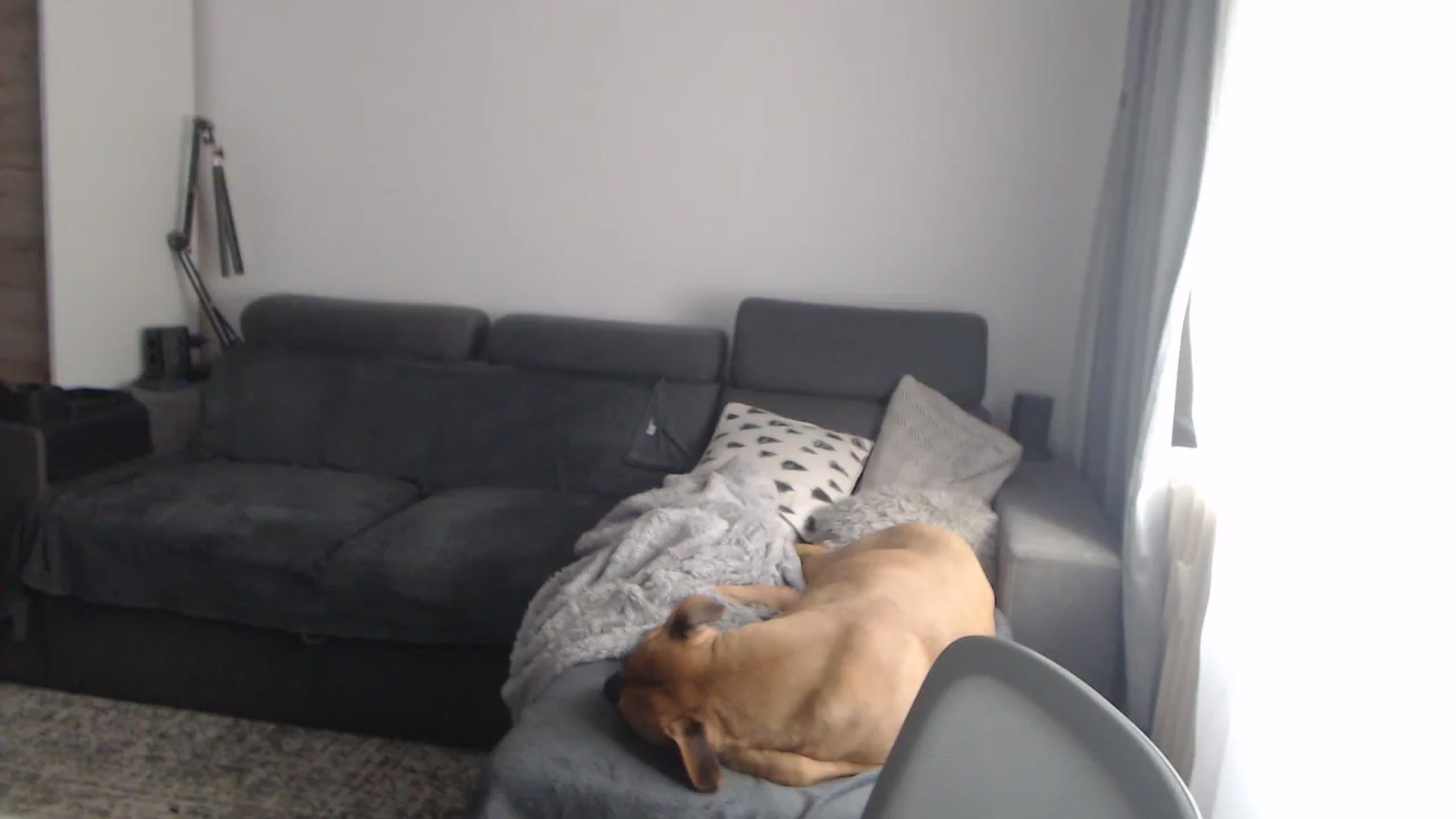 Gallery image thumbnail from ASweetJessie's myfreecams stream on, 02/04/2026, 14:12 image 7 of 20
