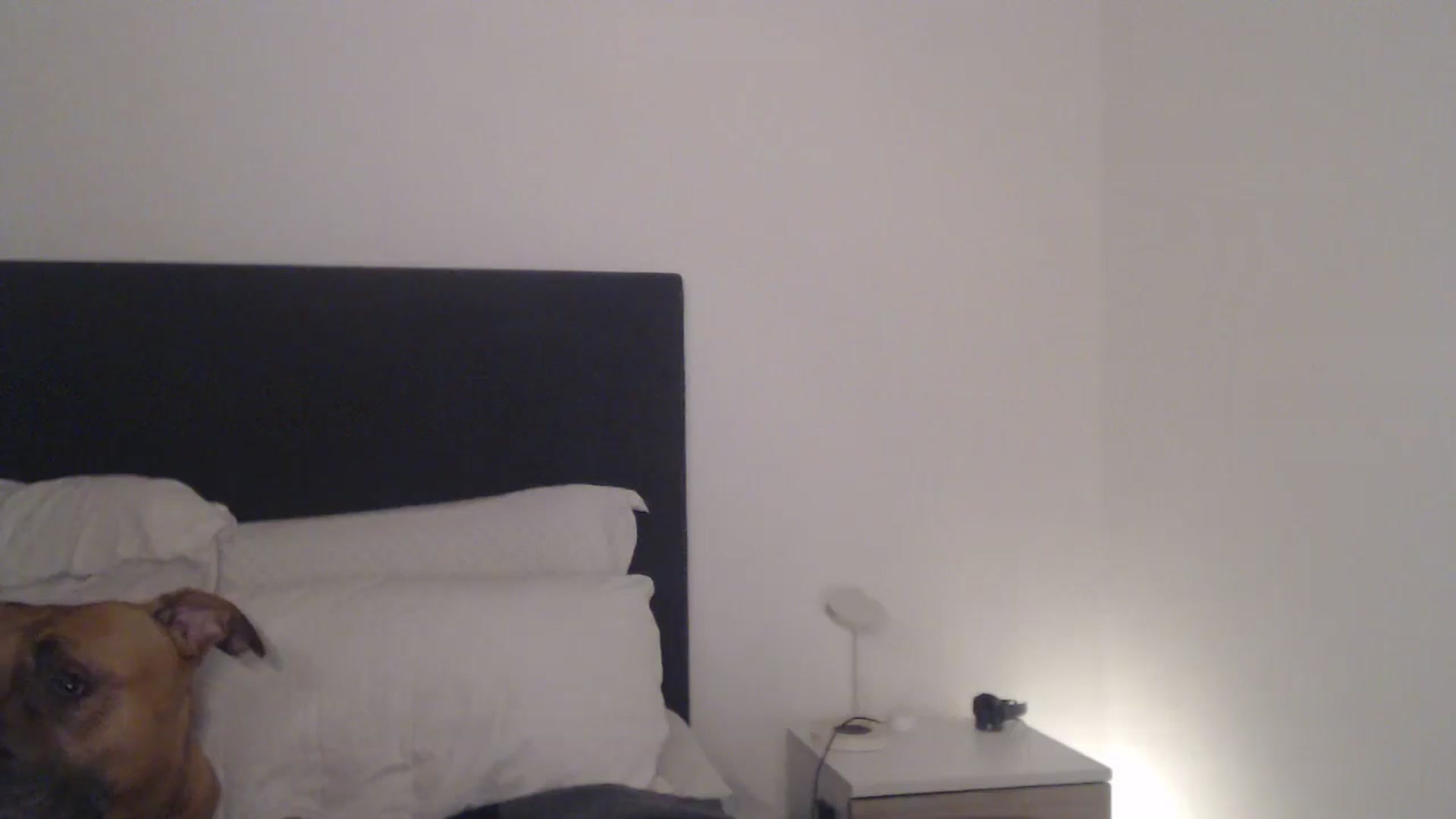Gallery image thumbnail from ASweetJessie's myfreecams stream on, 03/23/2026, 16:29 image 5 of 20