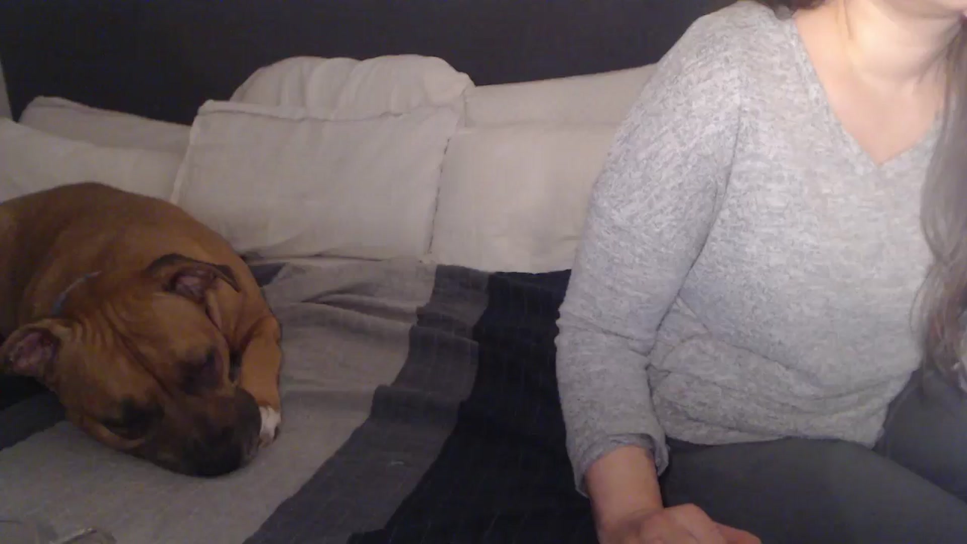 Gallery image thumbnail from ASweetJessie's myfreecams stream on, 03/23/2026, 16:29 image 15 of 20