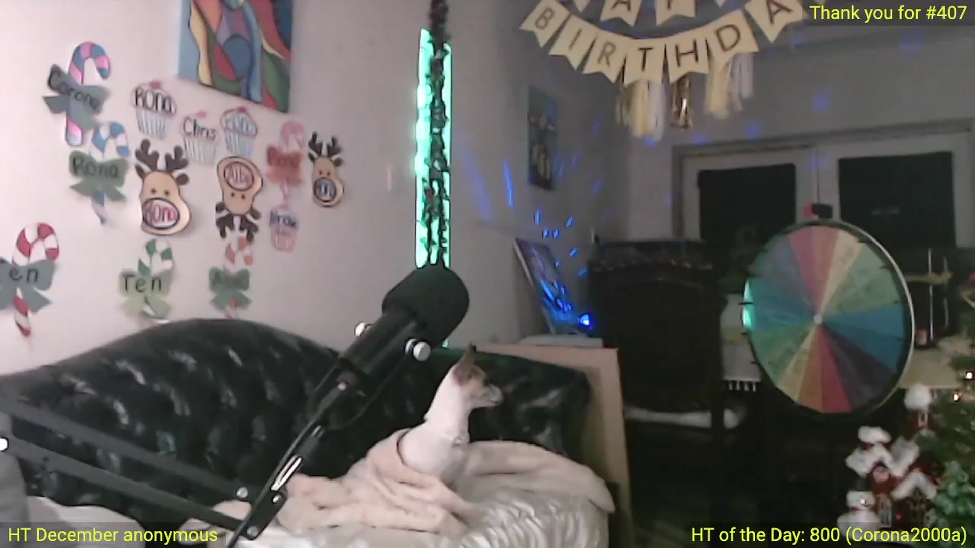 Gallery image thumbnail from ATinyCassie's myfreecams stream on, 12/11/2022, 04:33 image 11 of 20