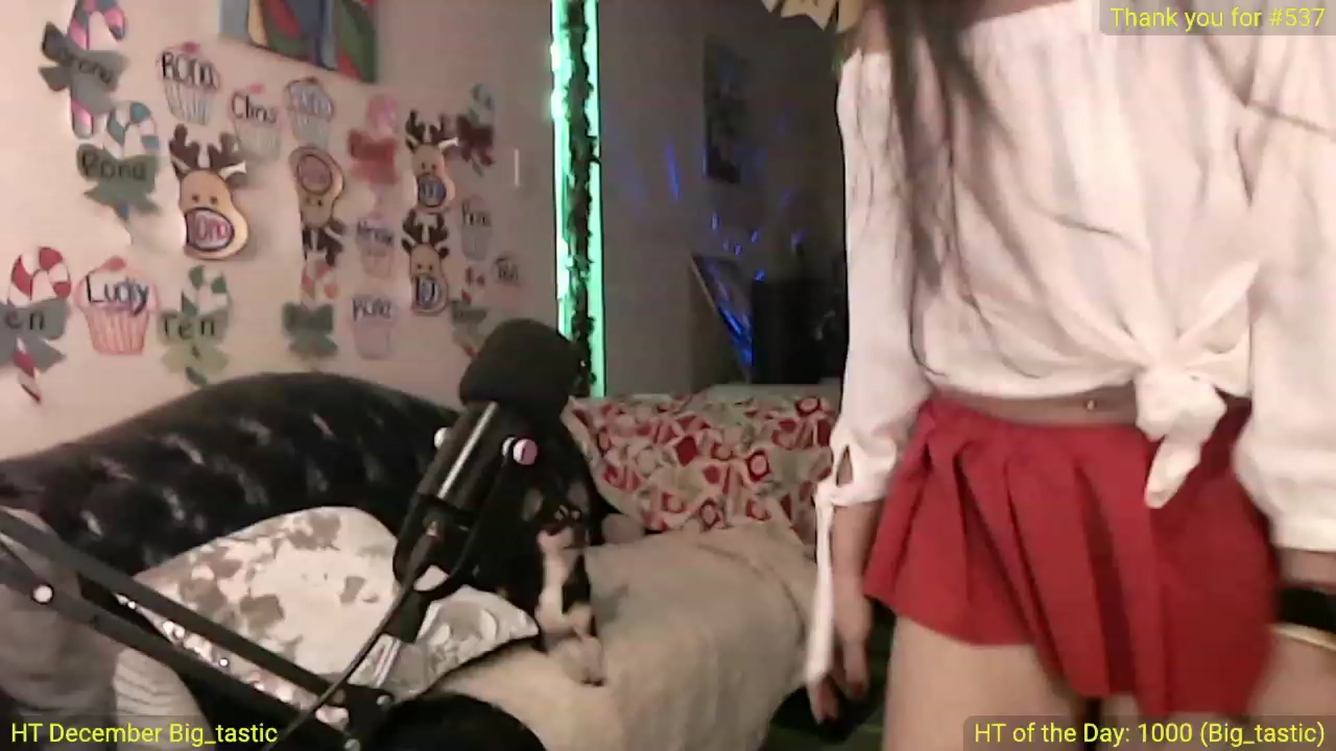 Gallery image thumbnail from ATinyCassie's myfreecams stream on, 12/22/2022, 04:37 image 2 of 20