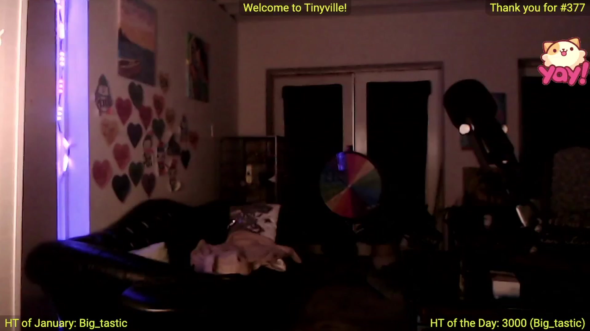Gallery image thumbnail from ATinyCassie's myfreecams stream on, 01/22/2023, 05:57 image 8 of 20