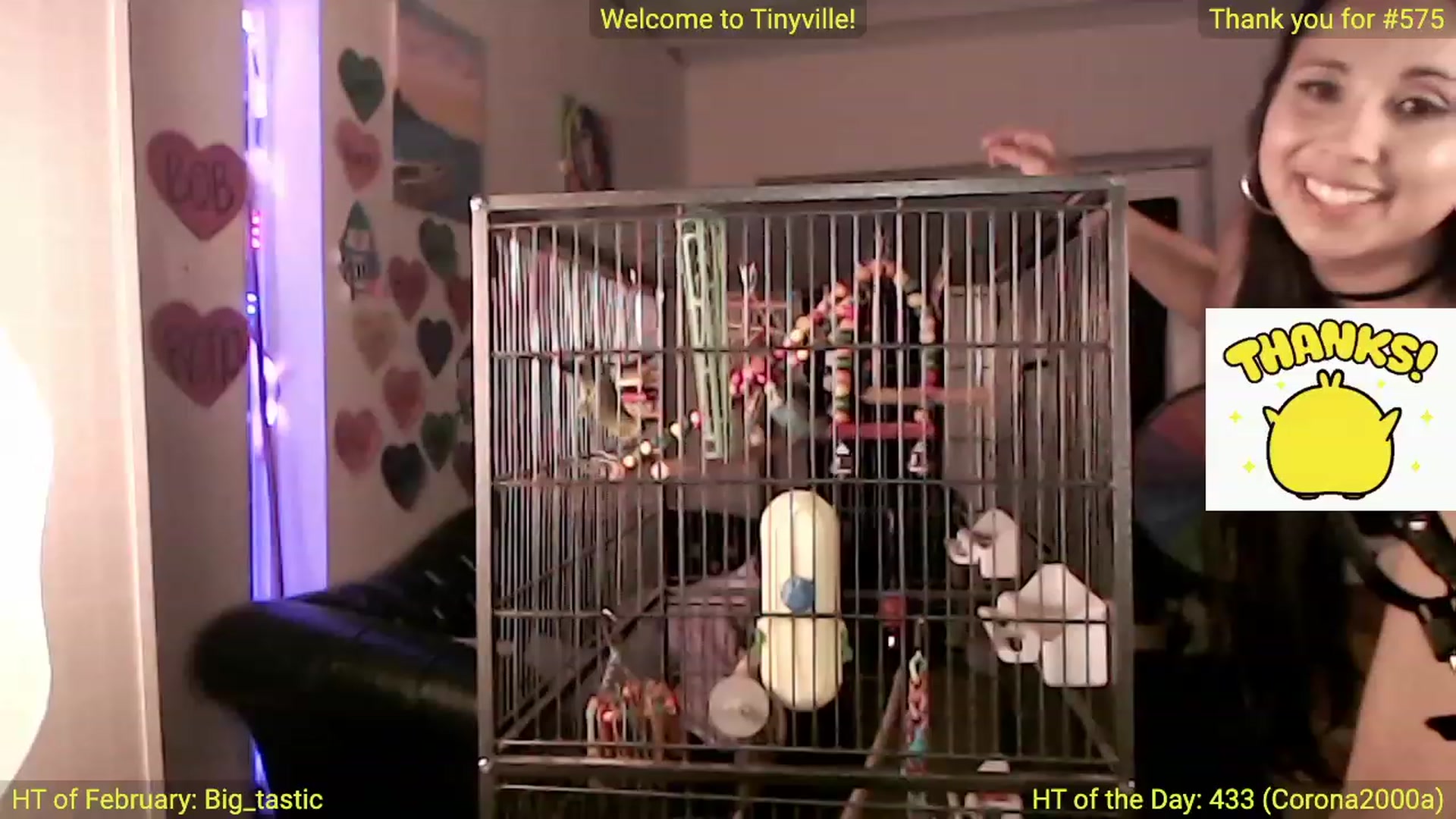 Gallery image thumbnail from ATinyCassie's myfreecams stream on, 02/04/2023, 04:53 image 9 of 20