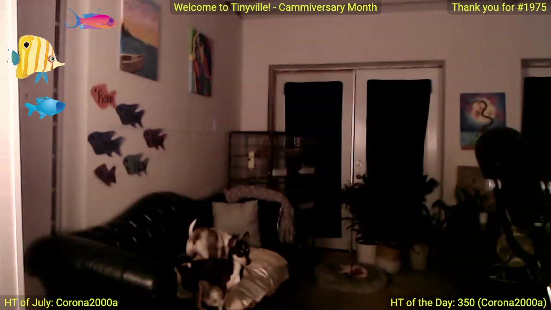 Gallery image thumbnail from ATinyCassie's myfreecams stream on, 07/21/2023, 02:09 image 19 of 20