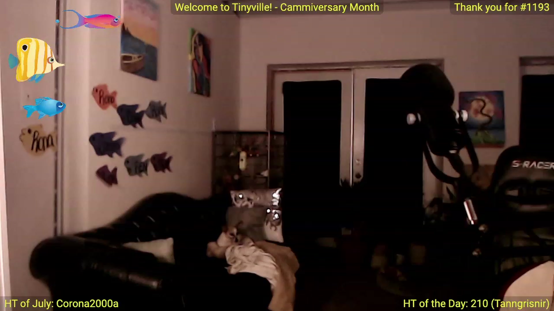Gallery image thumbnail from ATinyCassie's myfreecams stream on, 07/28/2023, 02:59 image 2 of 20