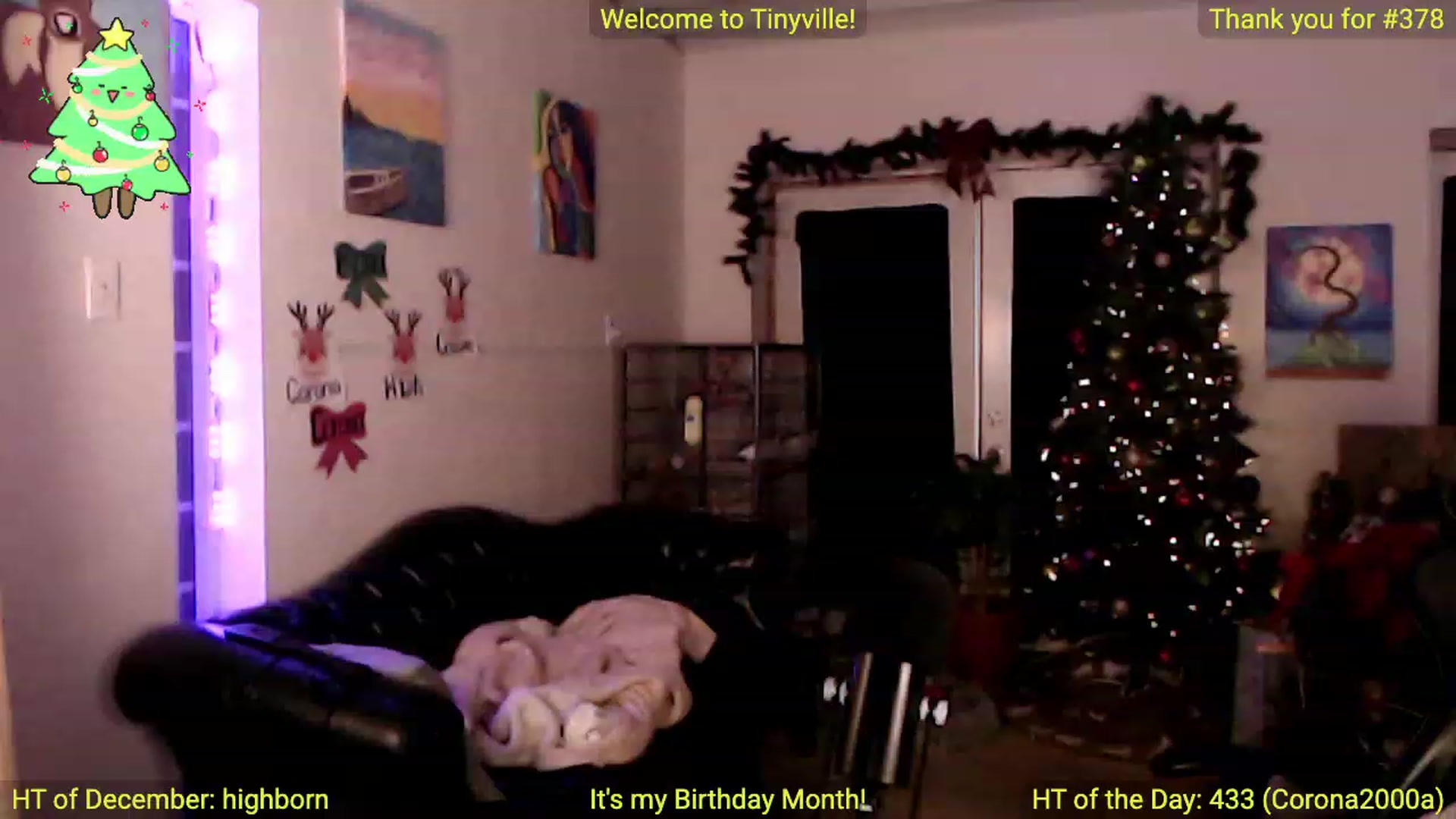 Gallery image thumbnail from ATinyCassie's myfreecams stream on, 12/16/2023, 05:53 image 11 of 20