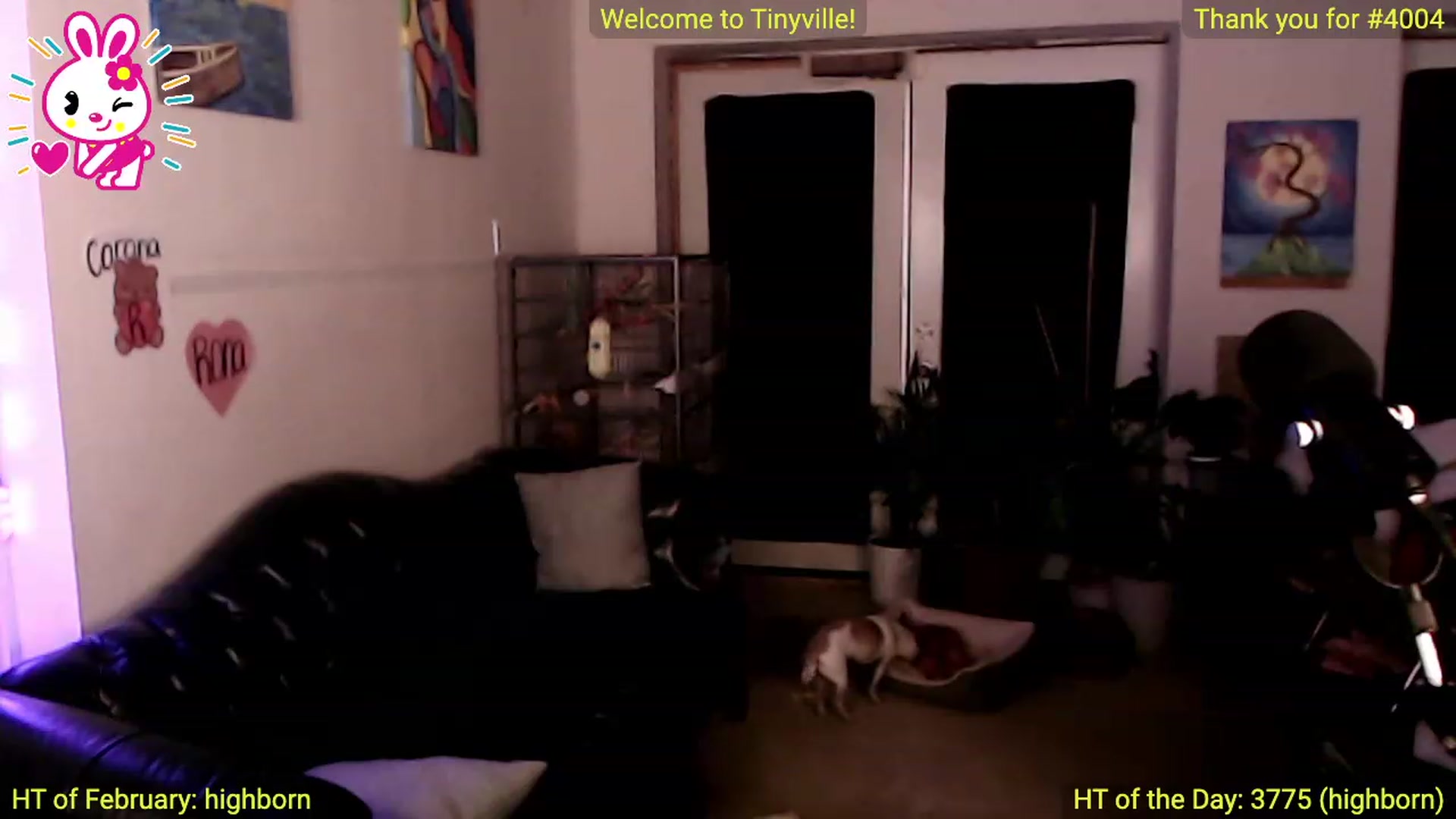 Gallery image thumbnail from ATinyCassie's myfreecams stream on, 02/18/2024, 05:54 image 7 of 20
