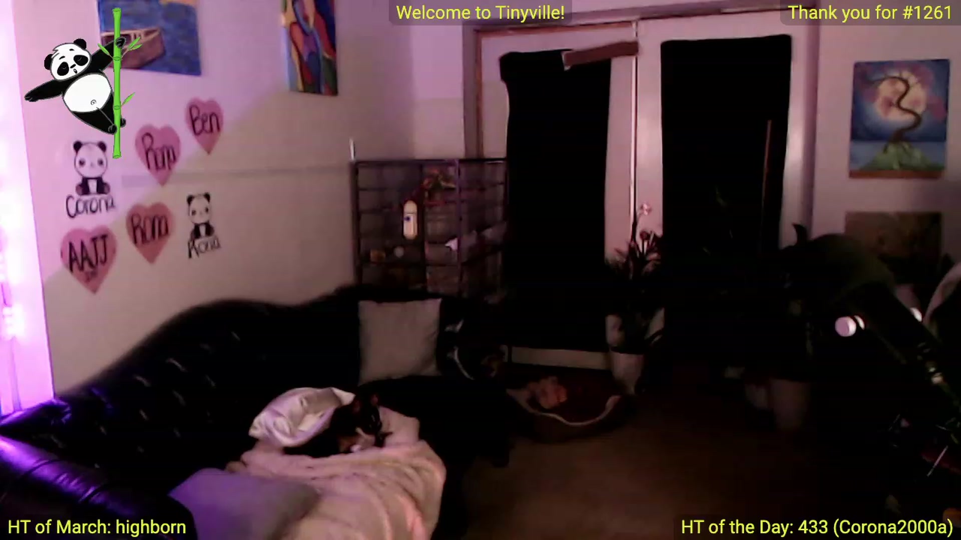 Gallery image thumbnail from ATinyCassie's myfreecams stream on, 03/16/2024, 03:33 image 2 of 20