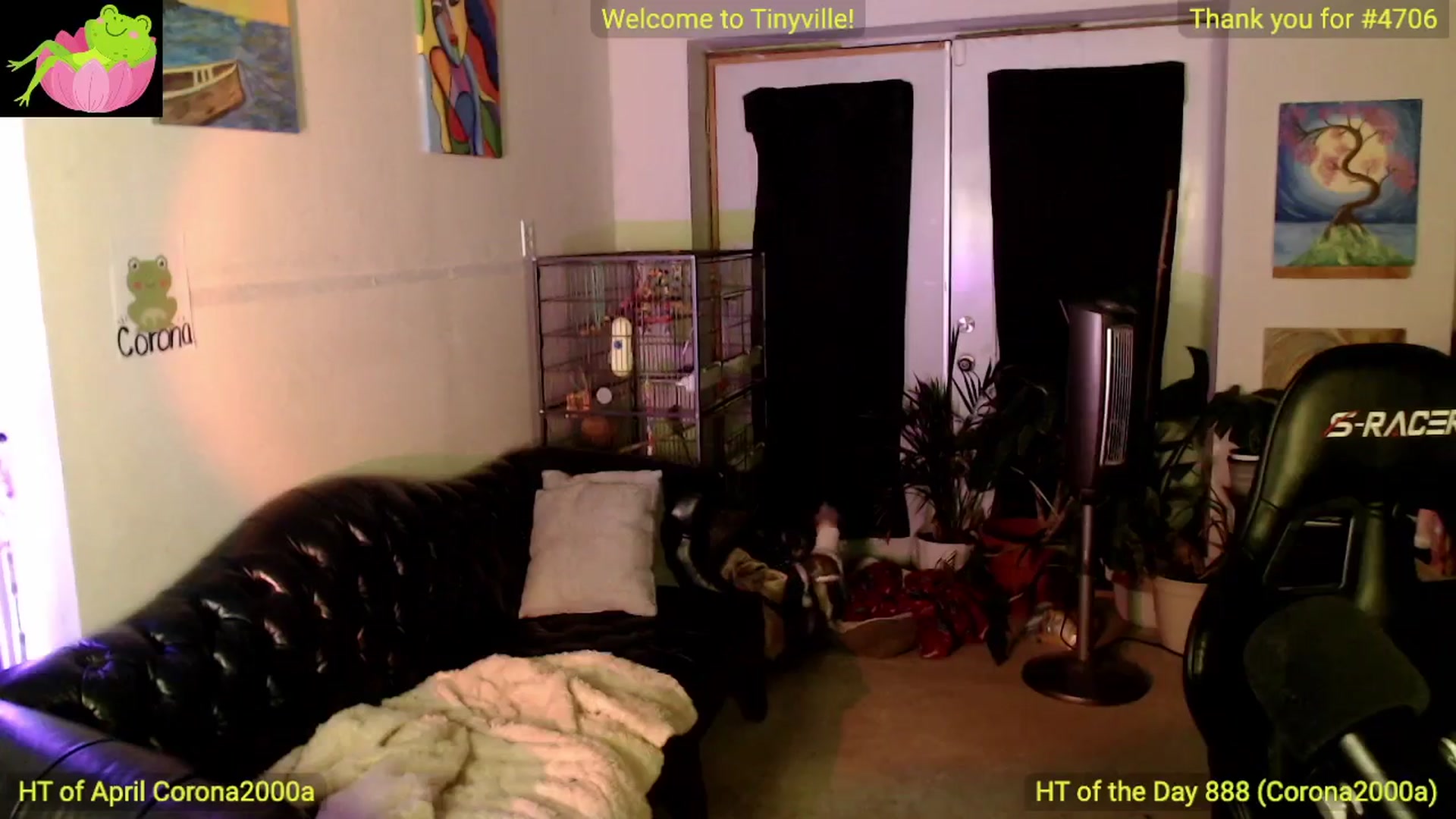 Gallery image thumbnail from ATinyCassie's myfreecams stream on, 04/14/2024, 04:58 image 12 of 20