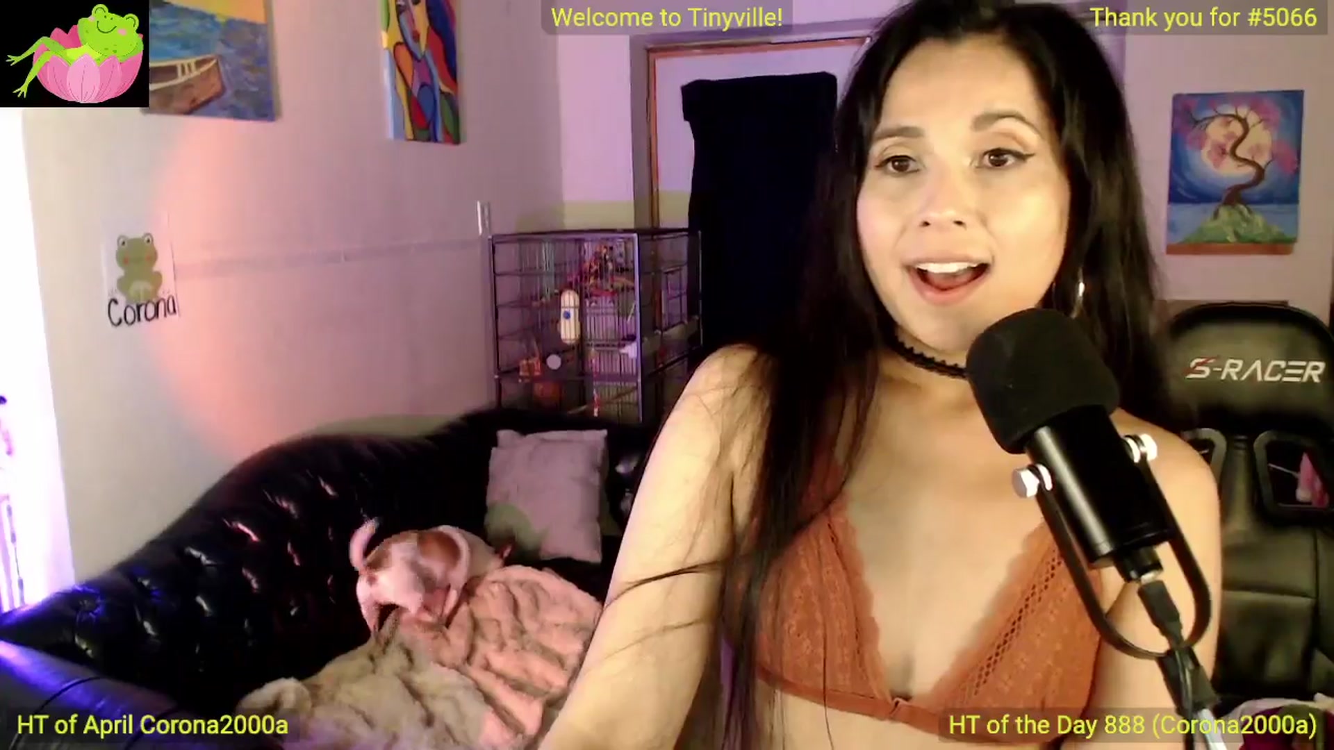 Gallery image thumbnail from ATinyCassie's myfreecams stream on, 04/14/2024, 04:58 image 5 of 20