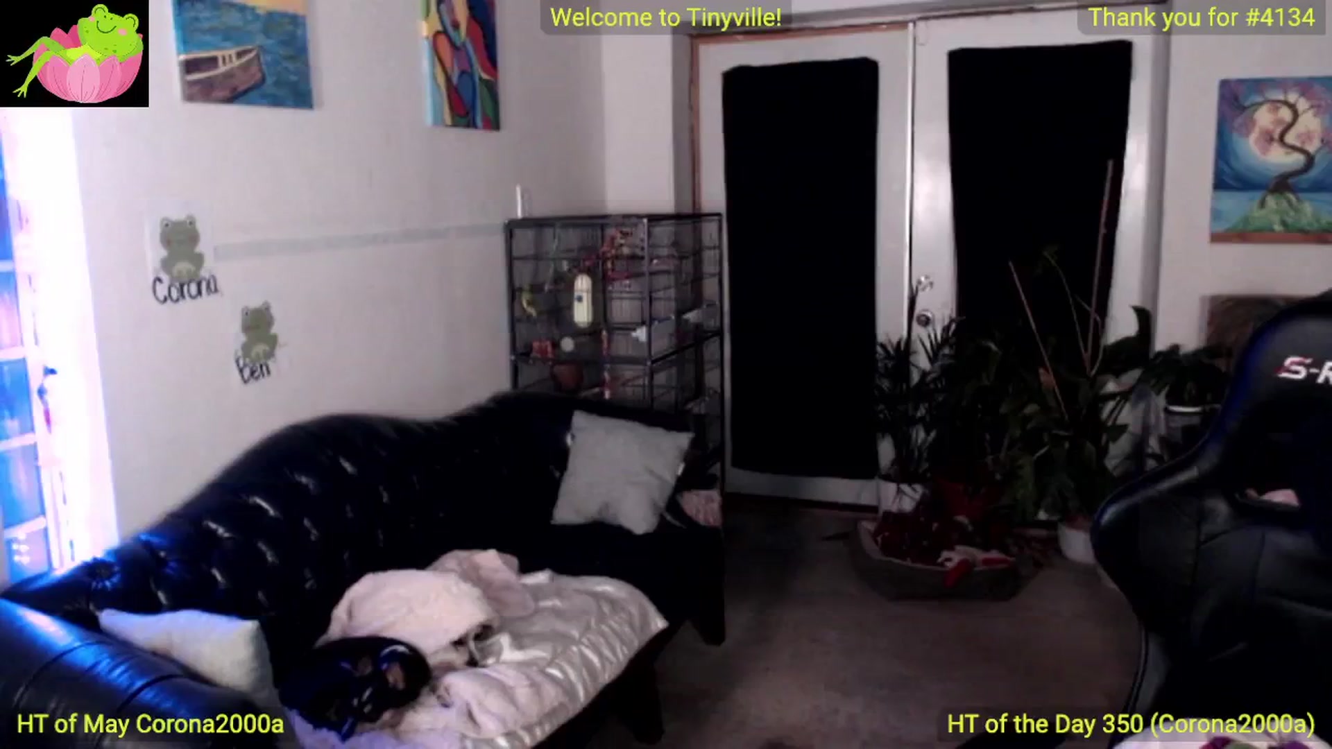 Gallery image thumbnail from ATinyCassie's myfreecams stream on, 05/04/2024, 02:21 image 17 of 20