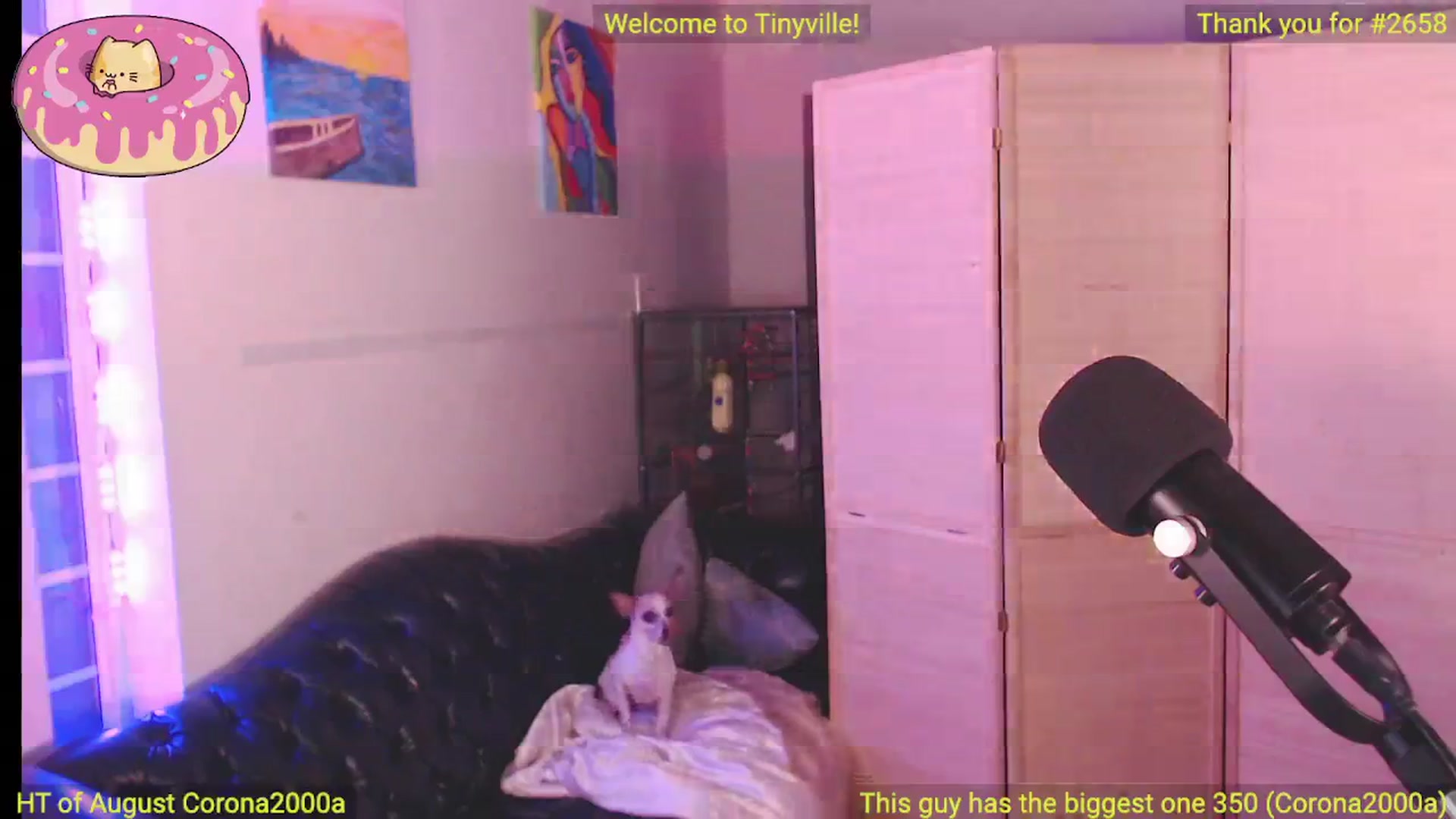 Gallery image thumbnail from ATinyCassie's myfreecams stream on, 08/04/2024, 05:19 image 13 of 20