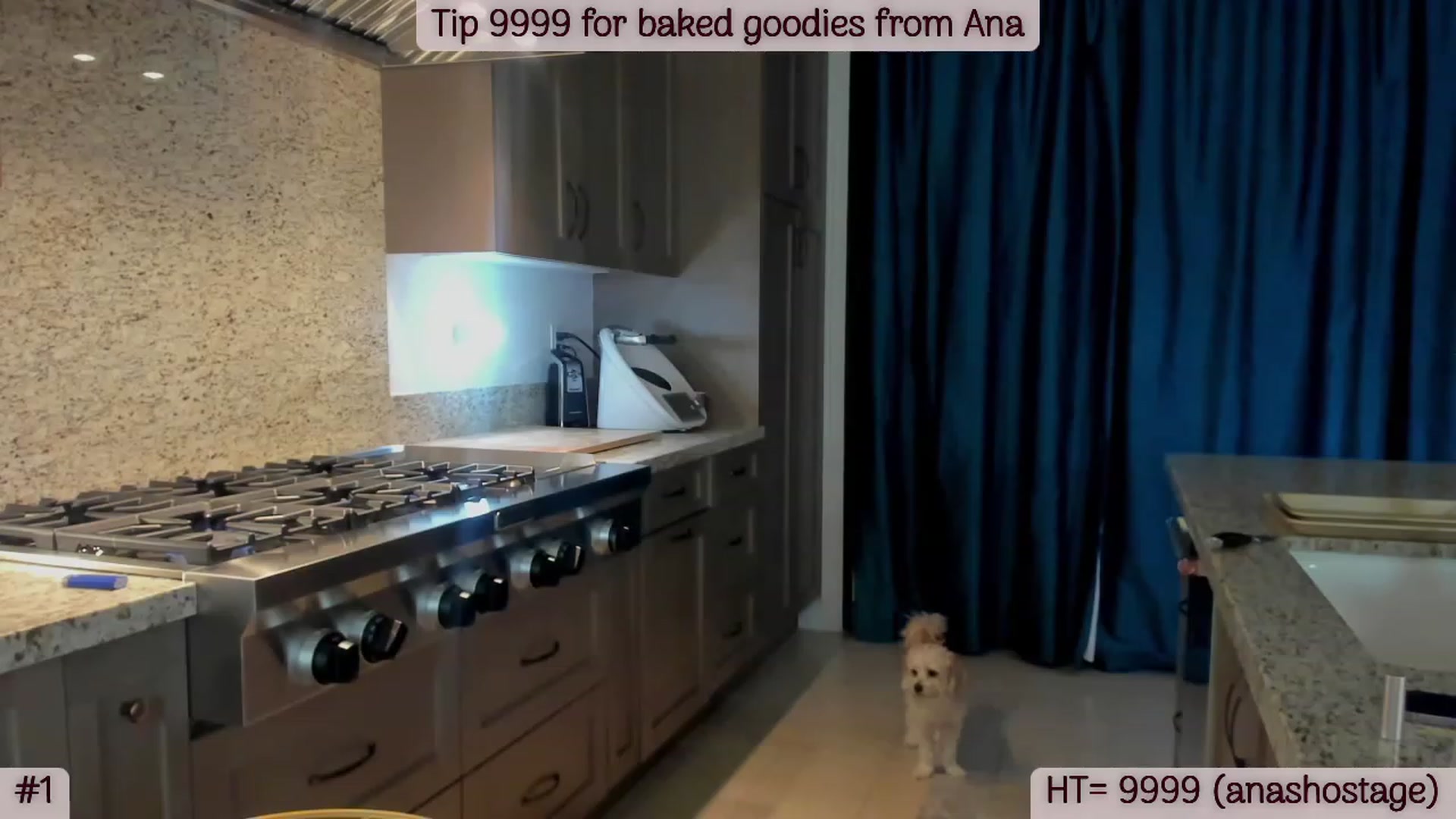 Gallery image thumbnail from A_Cult's myfreecams stream on, 02/19/2023, 05:23 image 8 of 20