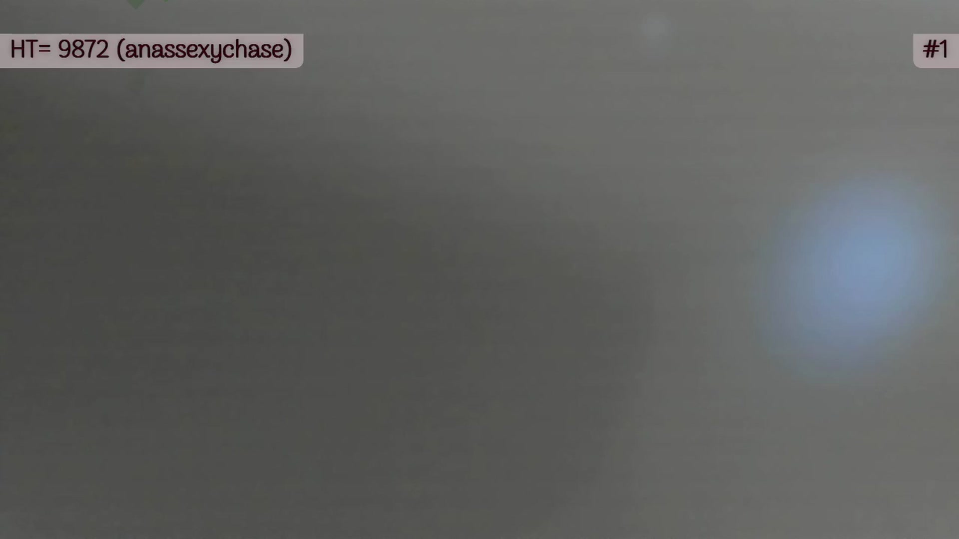 Gallery image thumbnail from A_Cult's myfreecams stream on, 06/05/2023, 02:14 image 19 of 20