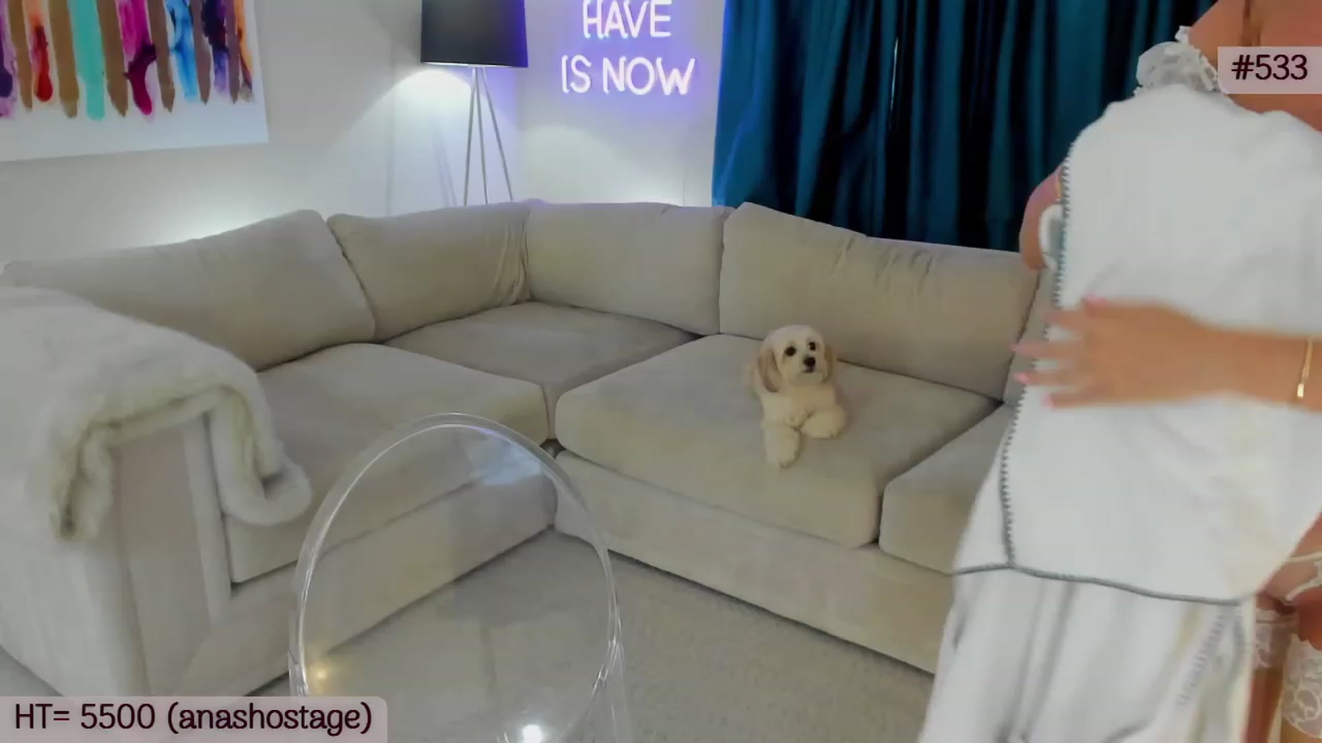 Gallery image thumbnail from A_Cult's myfreecams stream on, 07/09/2023, 04:15 image 8 of 20