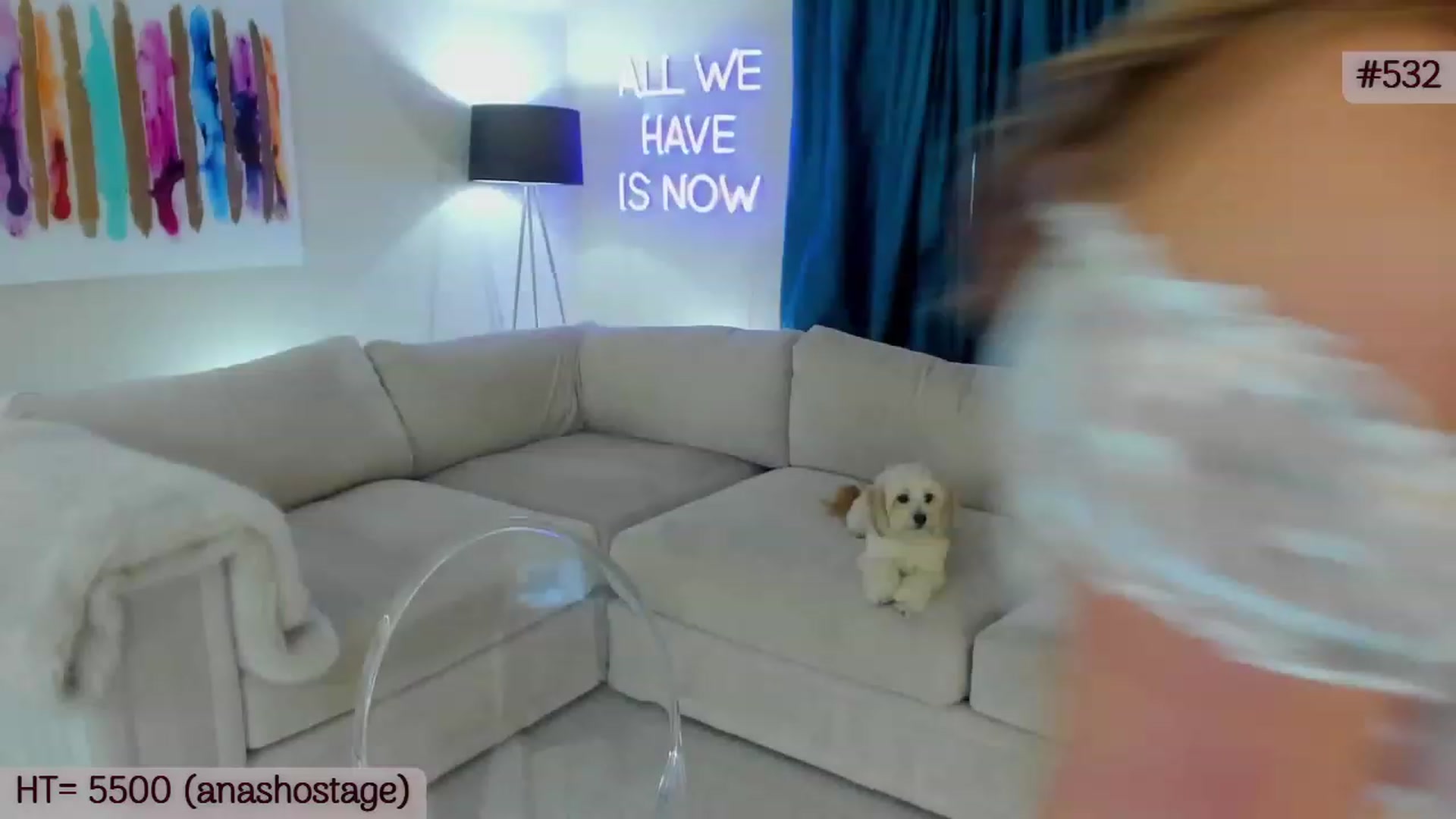 Gallery image thumbnail from A_Cult's myfreecams stream on, 07/09/2023, 04:15 image 6 of 20