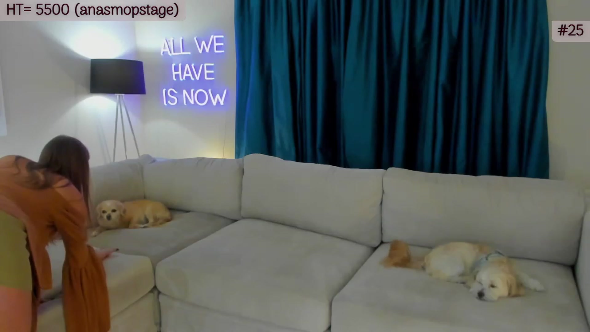 Gallery image thumbnail from A_Cult's myfreecams stream on, 11/14/2023, 04:54 image 16 of 20