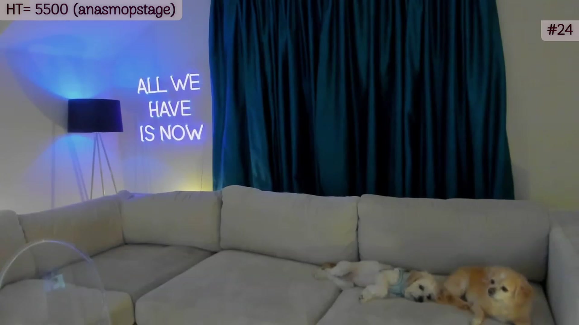 Gallery image thumbnail from A_Cult's myfreecams stream on, 11/14/2023, 04:54 image 20 of 20