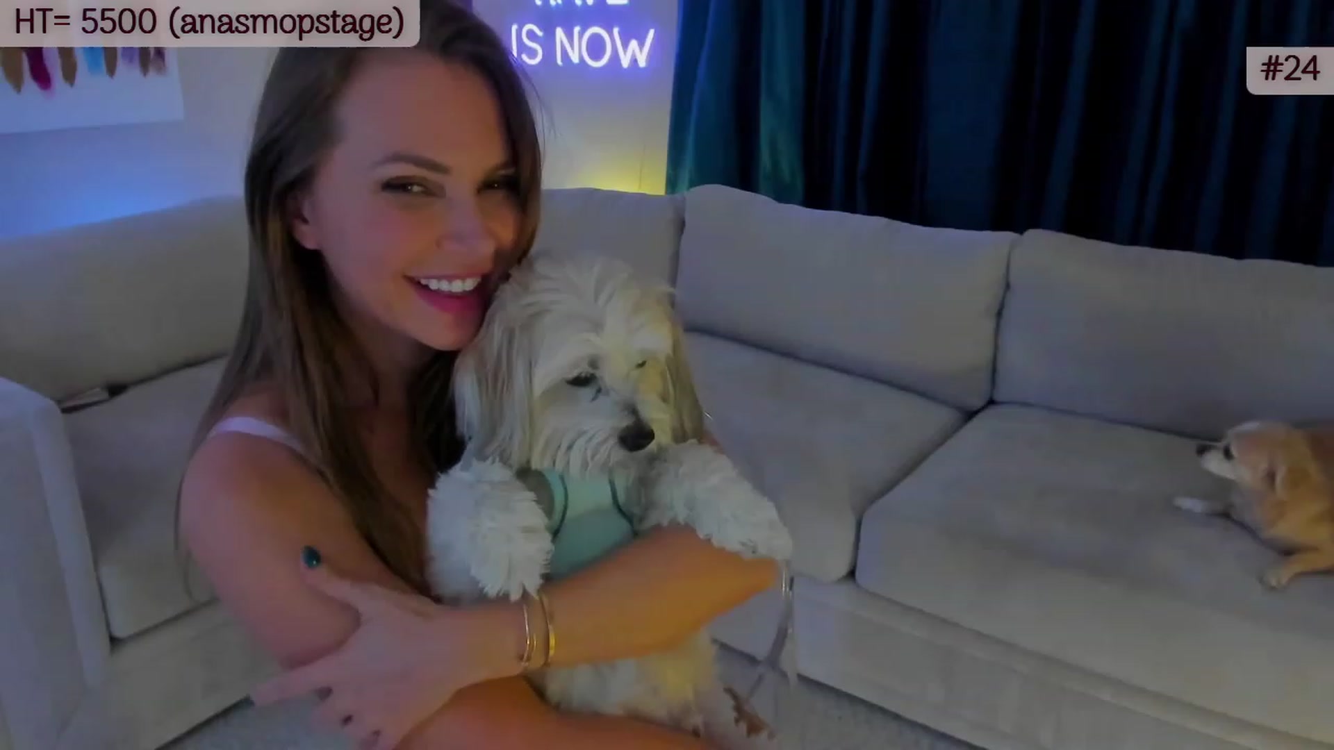 Gallery image thumbnail from A_Cult's myfreecams stream on, 11/14/2023, 05:25 image 11 of 20