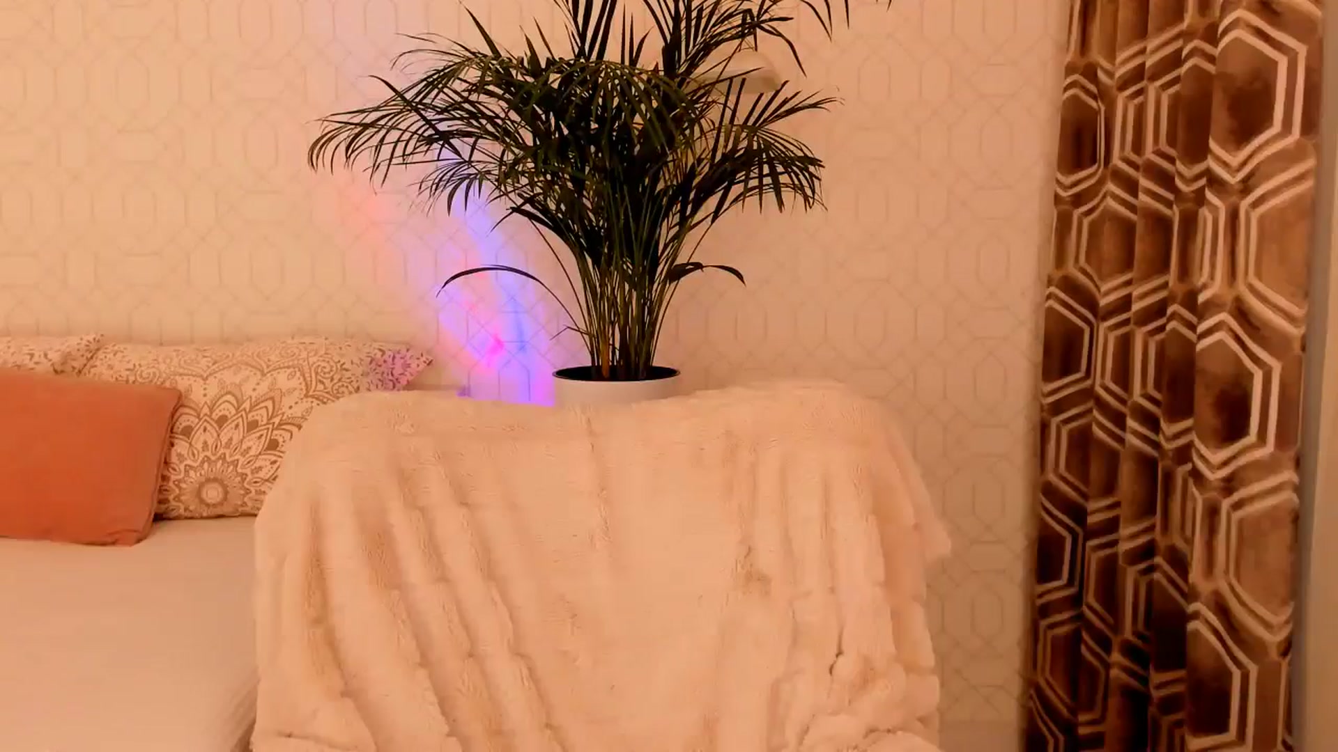Gallery image thumbnail from A_N_A__'s myfreecams stream on, 01/20/2025, 08:23 image 7 of 20