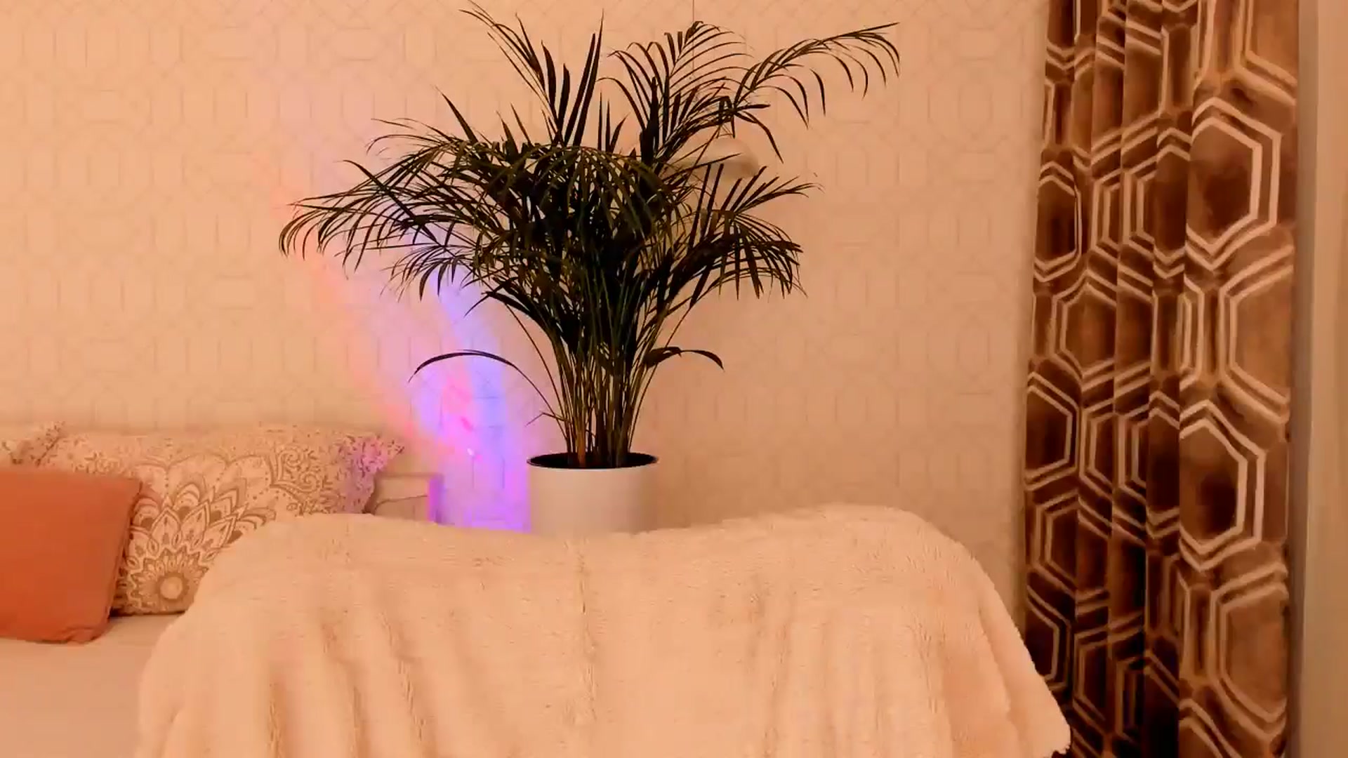 Gallery image thumbnail from A_N_A__'s myfreecams stream on, 01/20/2025, 08:23 image 3 of 20