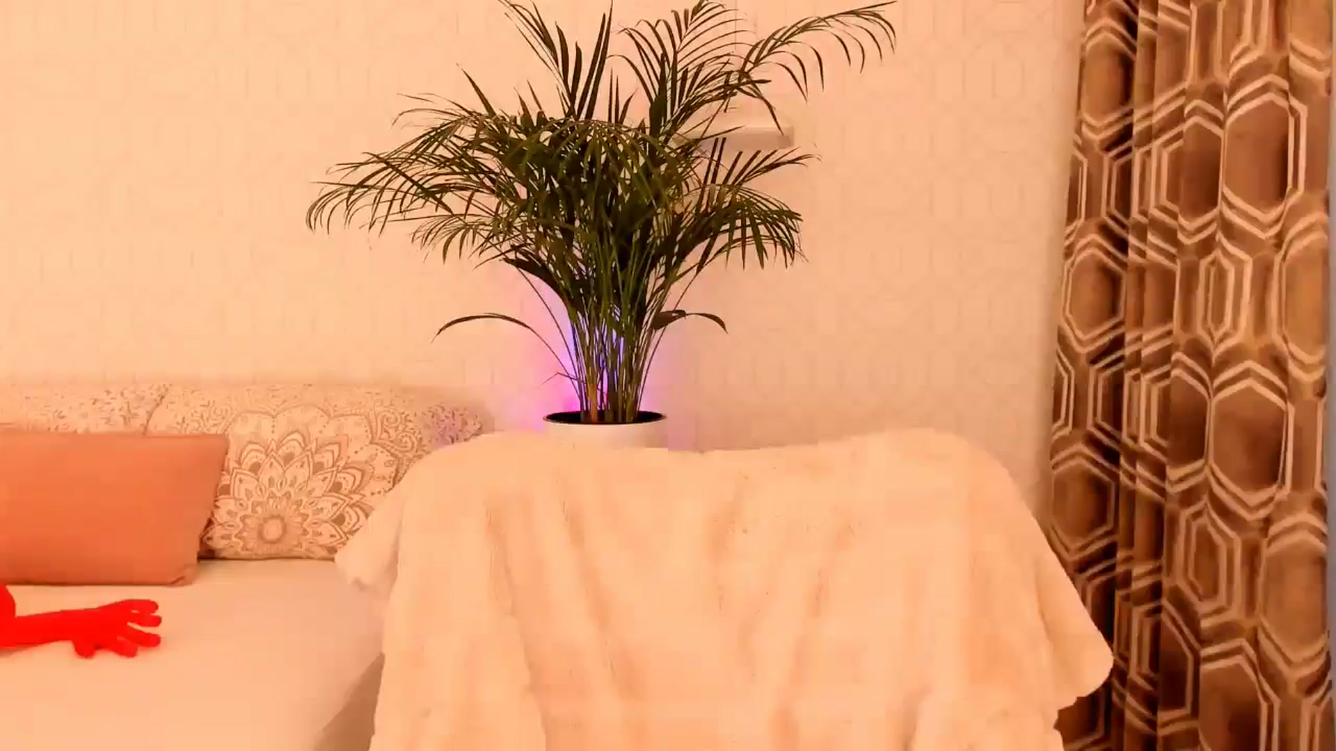 Gallery image thumbnail from A_N_A__'s myfreecams stream on, 01/21/2025, 07:38 image 8 of 20