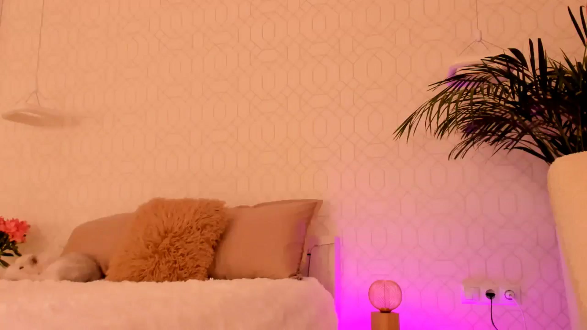Gallery image thumbnail from A_N_A__'s myfreecams stream on, 05/24/2025, 18:05 image 14 of 20