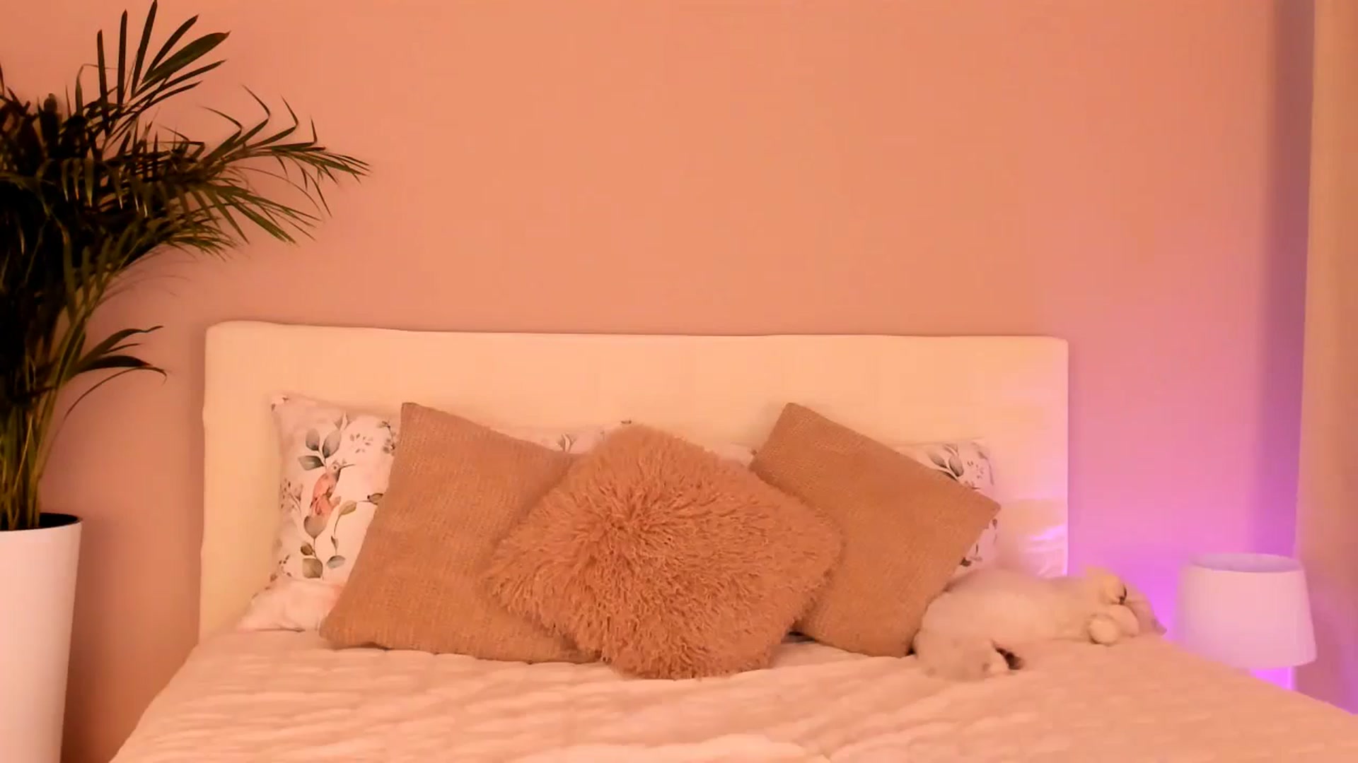 Gallery image thumbnail from A__N_A_'s myfreecams stream on, 10/17/2024, 06:59 image 11 of 20