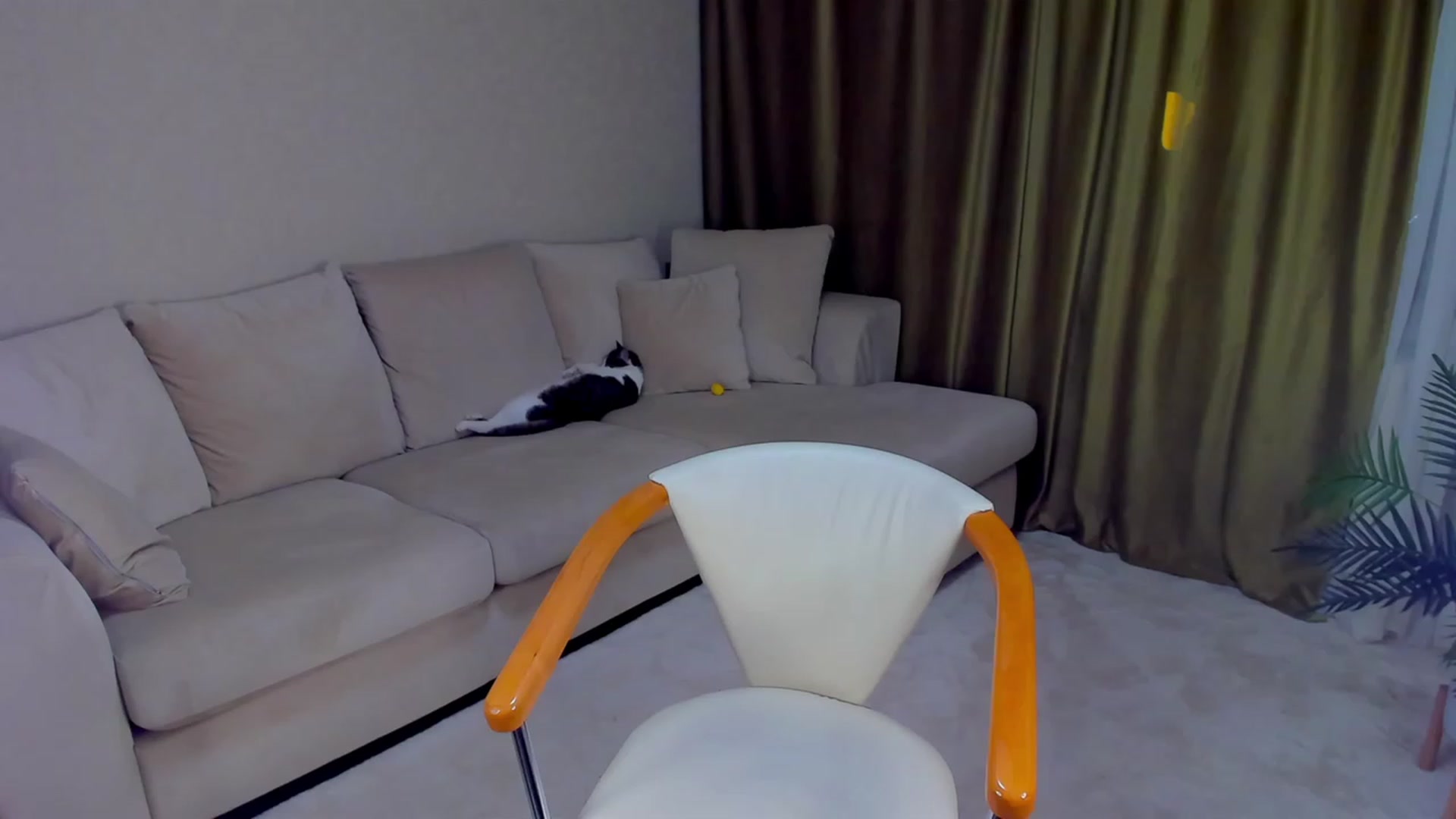 Gallery image thumbnail from A__N__A's myfreecams stream on, 02/15/2023, 15:23 image 3 of 20