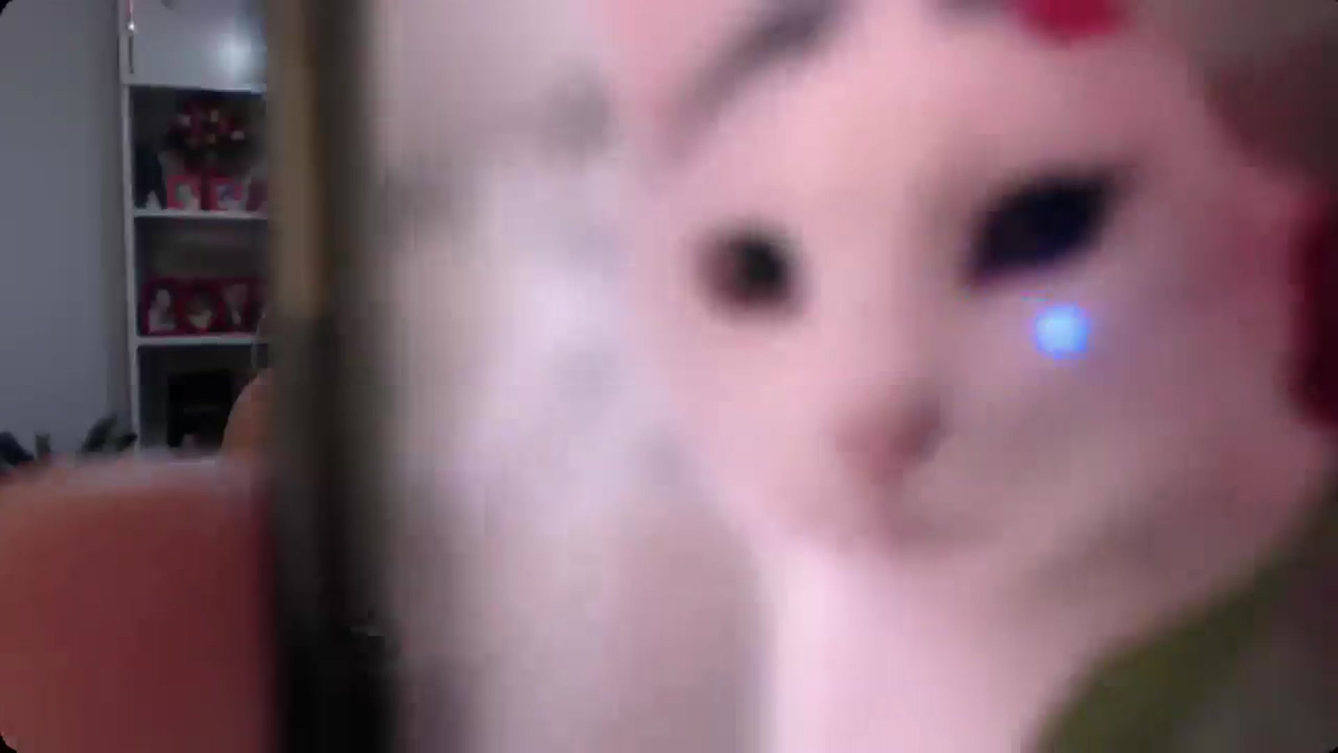Gallery image thumbnail from A_baby_Boo's myfreecams stream on, 12/03/2024, 08:17 image 11 of 20