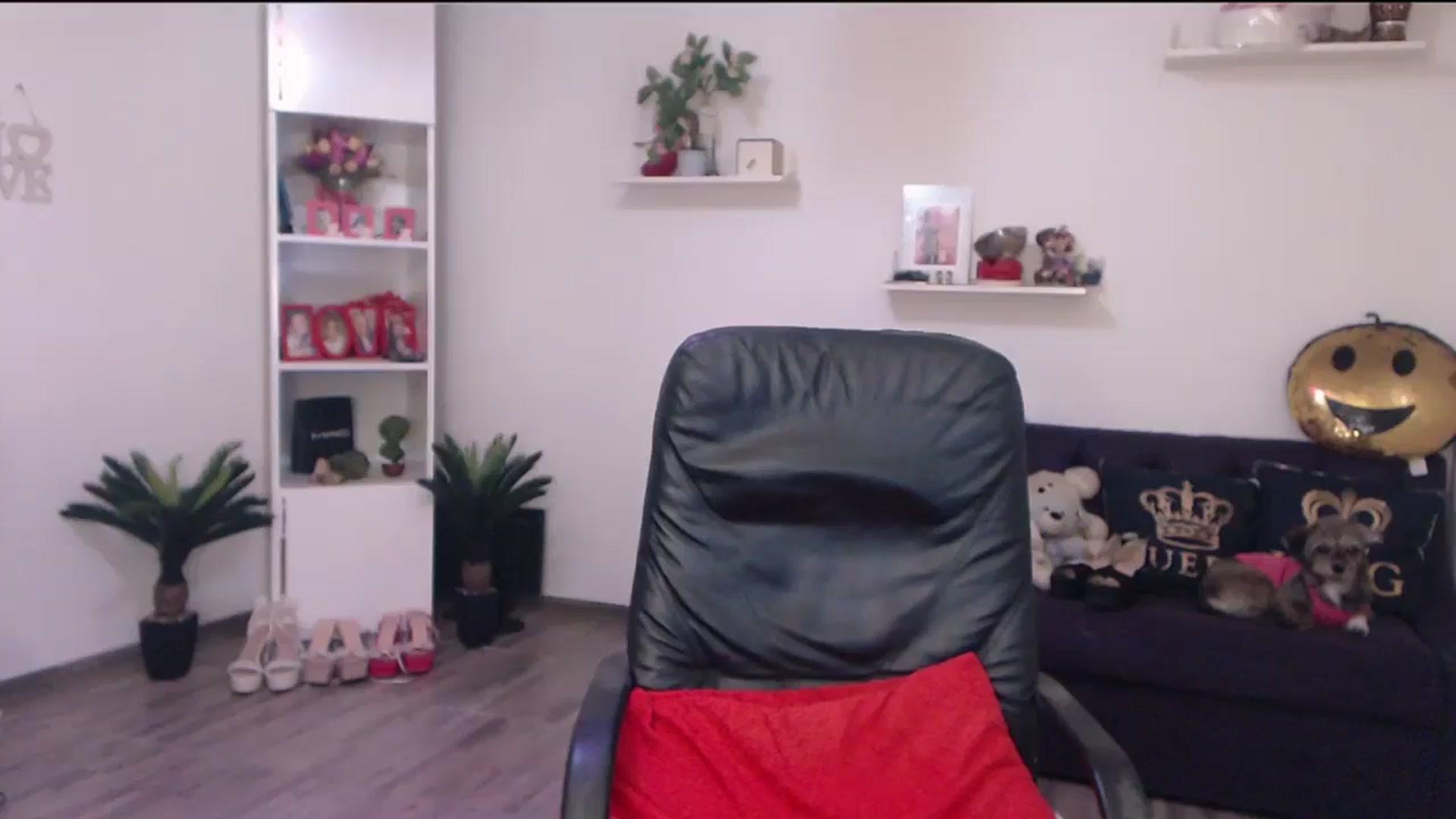 Gallery image thumbnail from A_baby_Boo's myfreecams stream on, 06/11/2025, 07:49 image 12 of 20
