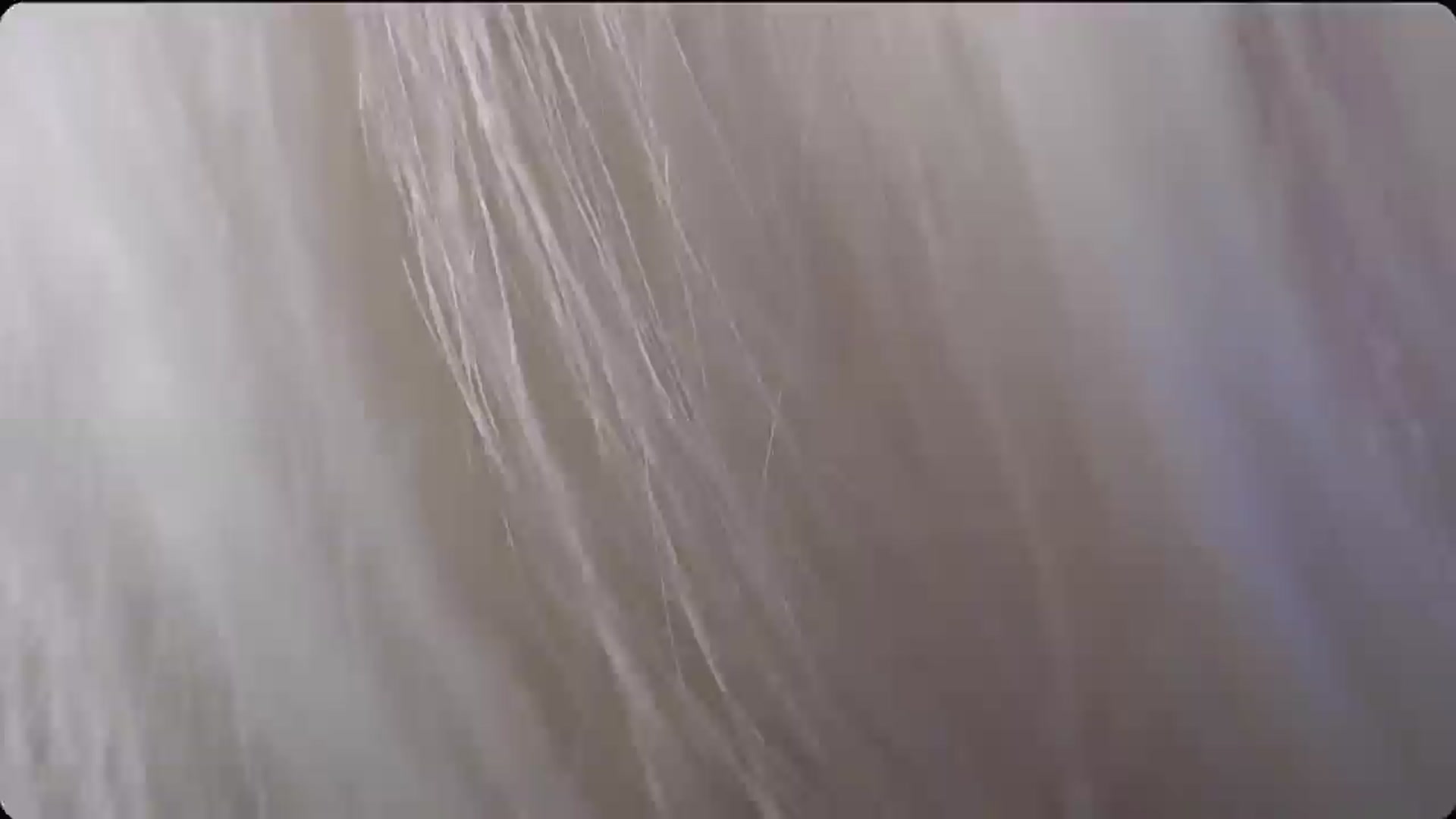 Gallery image thumbnail from A_baby_Boo's myfreecams stream on, 12/23/2025, 20:17 image 19 of 20