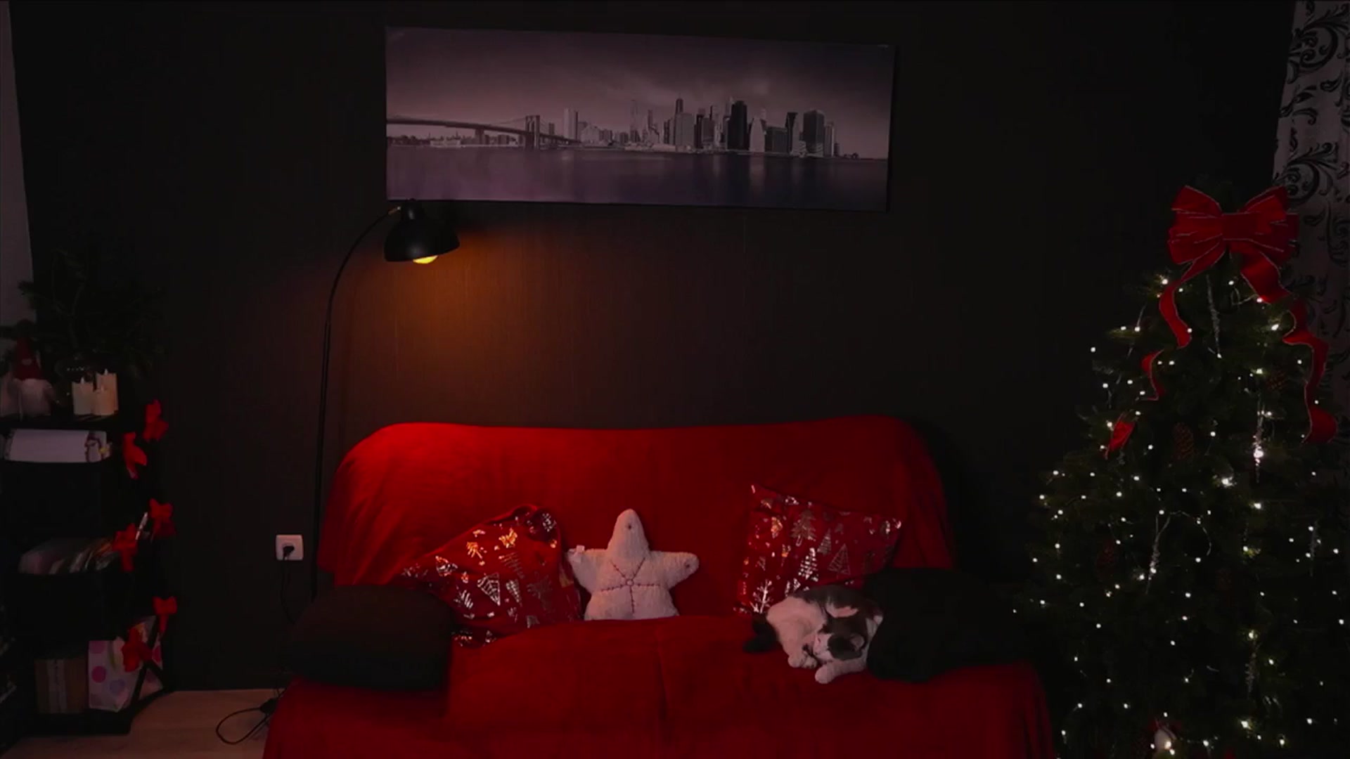 Gallery image thumbnail from A_n_n_a_a's myfreecams stream on, 12/31/2025, 13:56 image 5 of 20