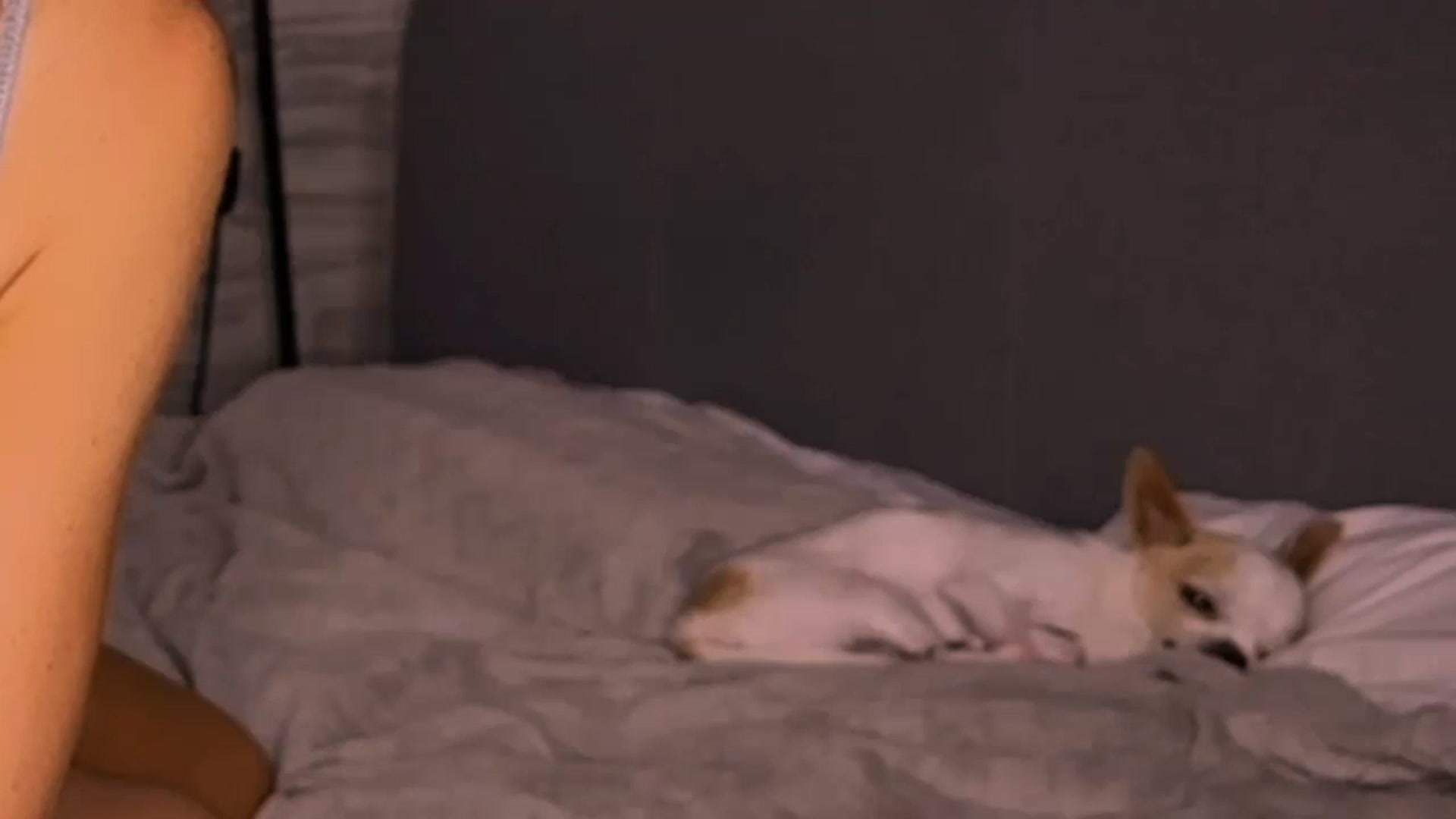 Gallery image thumbnail from A_r_t's myfreecams stream on, 07/14/2025, 17:47 image 14 of 20