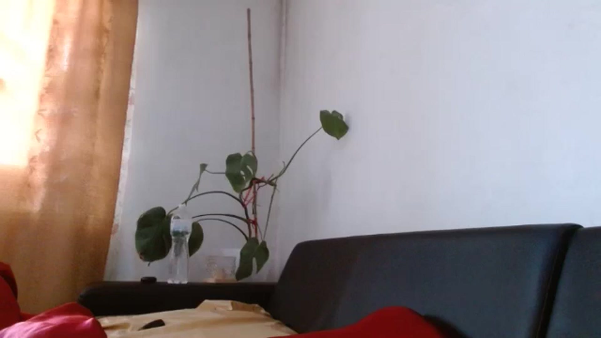 Gallery image thumbnail from Aaantonina's myfreecams stream on, 12/12/2024, 10:17 image 7 of 20