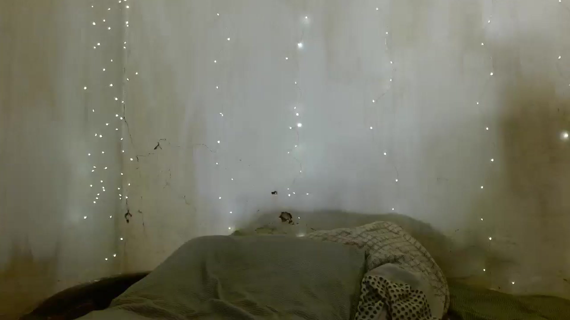Gallery image thumbnail from Aaantonina's myfreecams stream on, 12/27/2025, 19:06 image 1 of 20